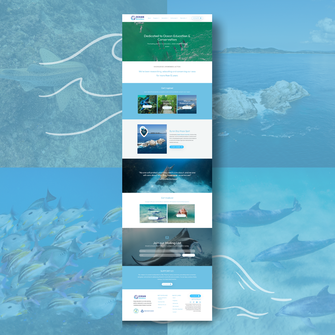 Minimalist Web Design - Ocean Conservation.png