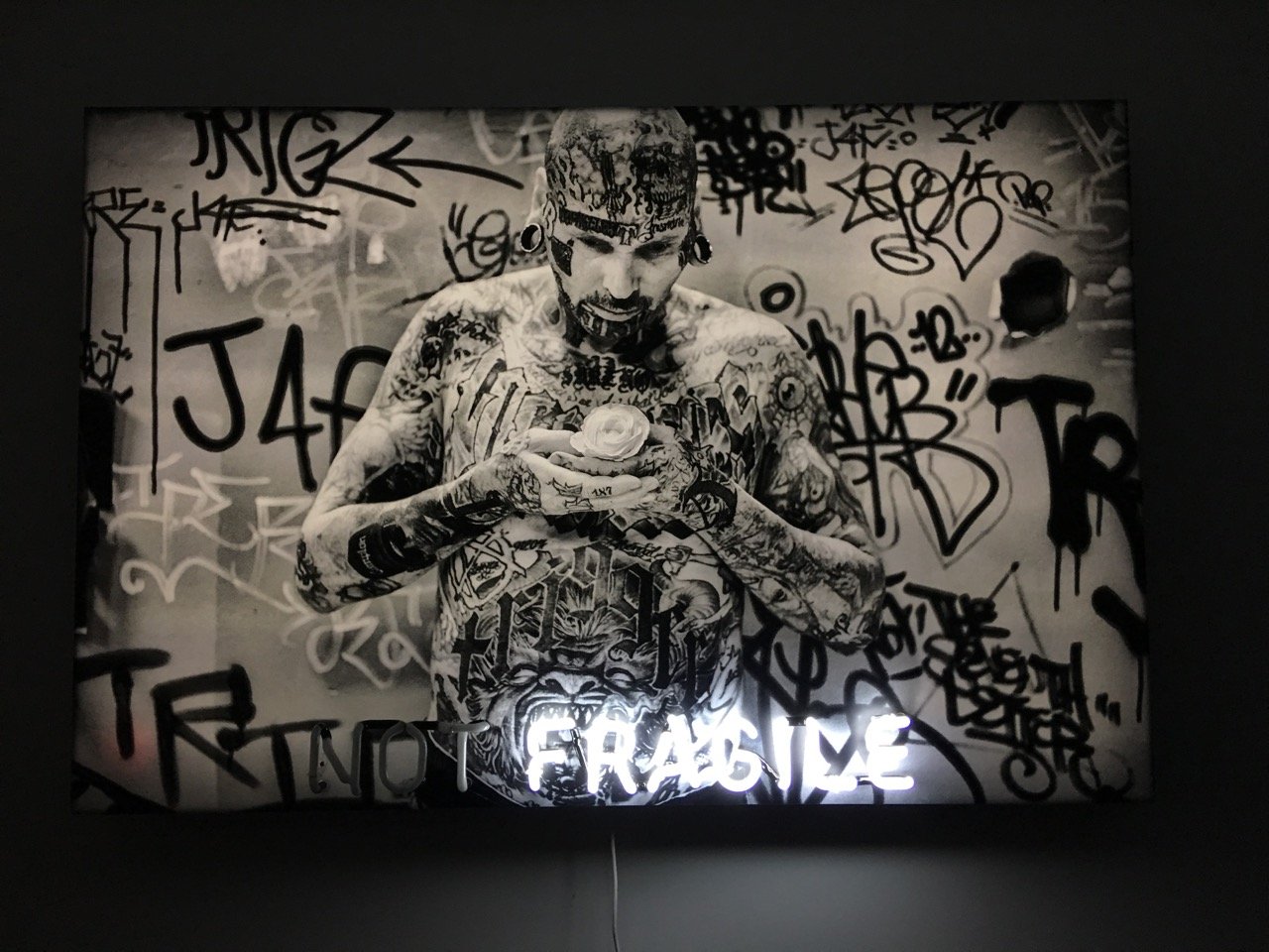 Trigger Lightbox 2.jpg