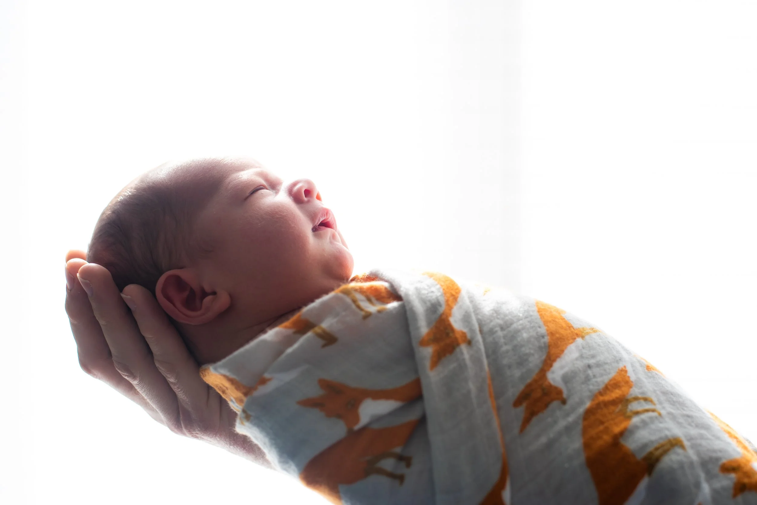 Tyson-Midnight-Newborn-Photography-5.jpg