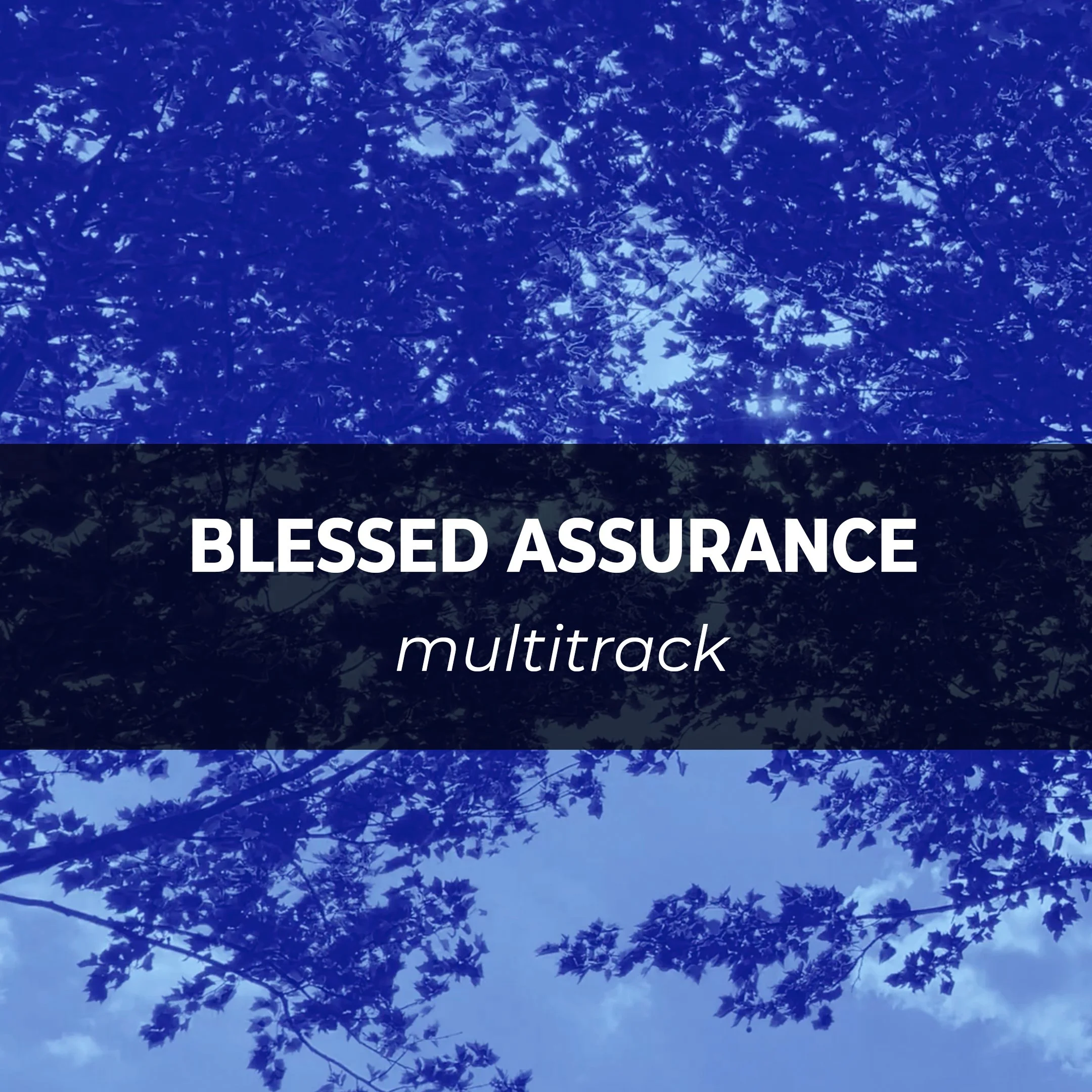 Blessed Assurance: Multitrack