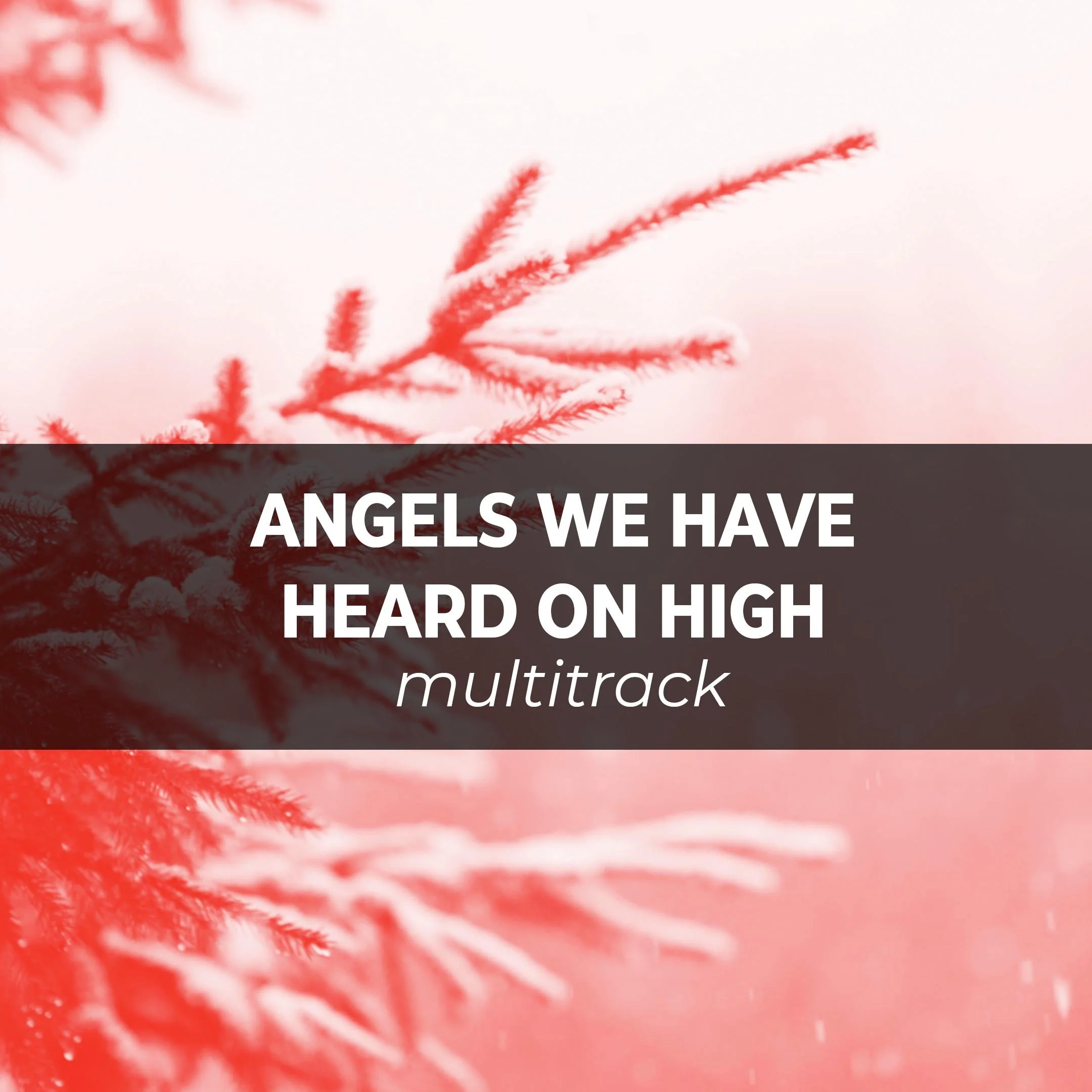 Angels_We_Have_Heard_square_multi.jpg