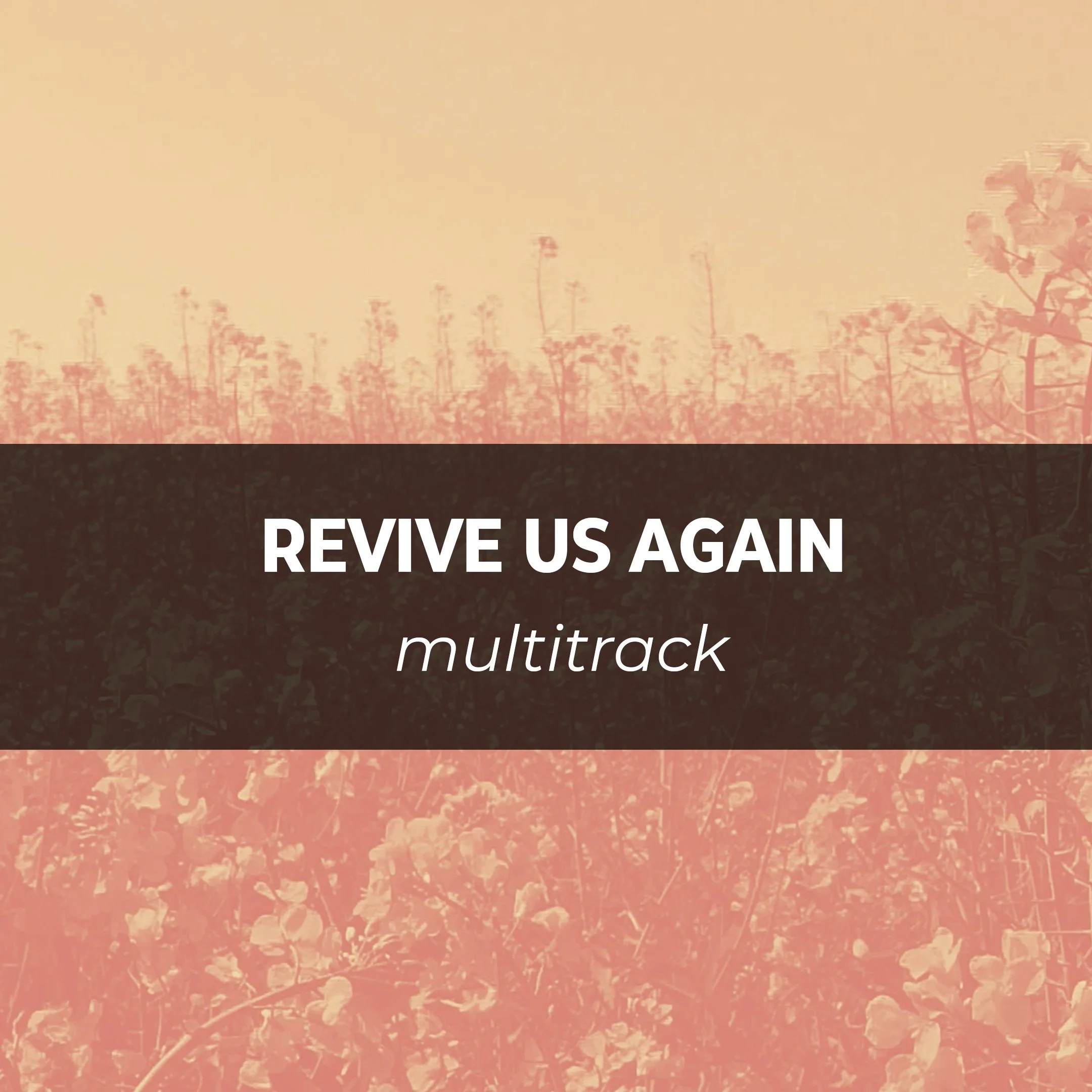 Revive Us Again: Multitrack