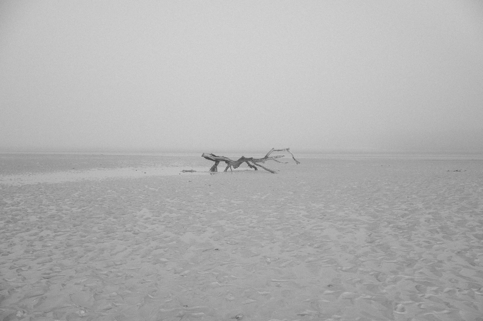 DSCF9896.jpg
