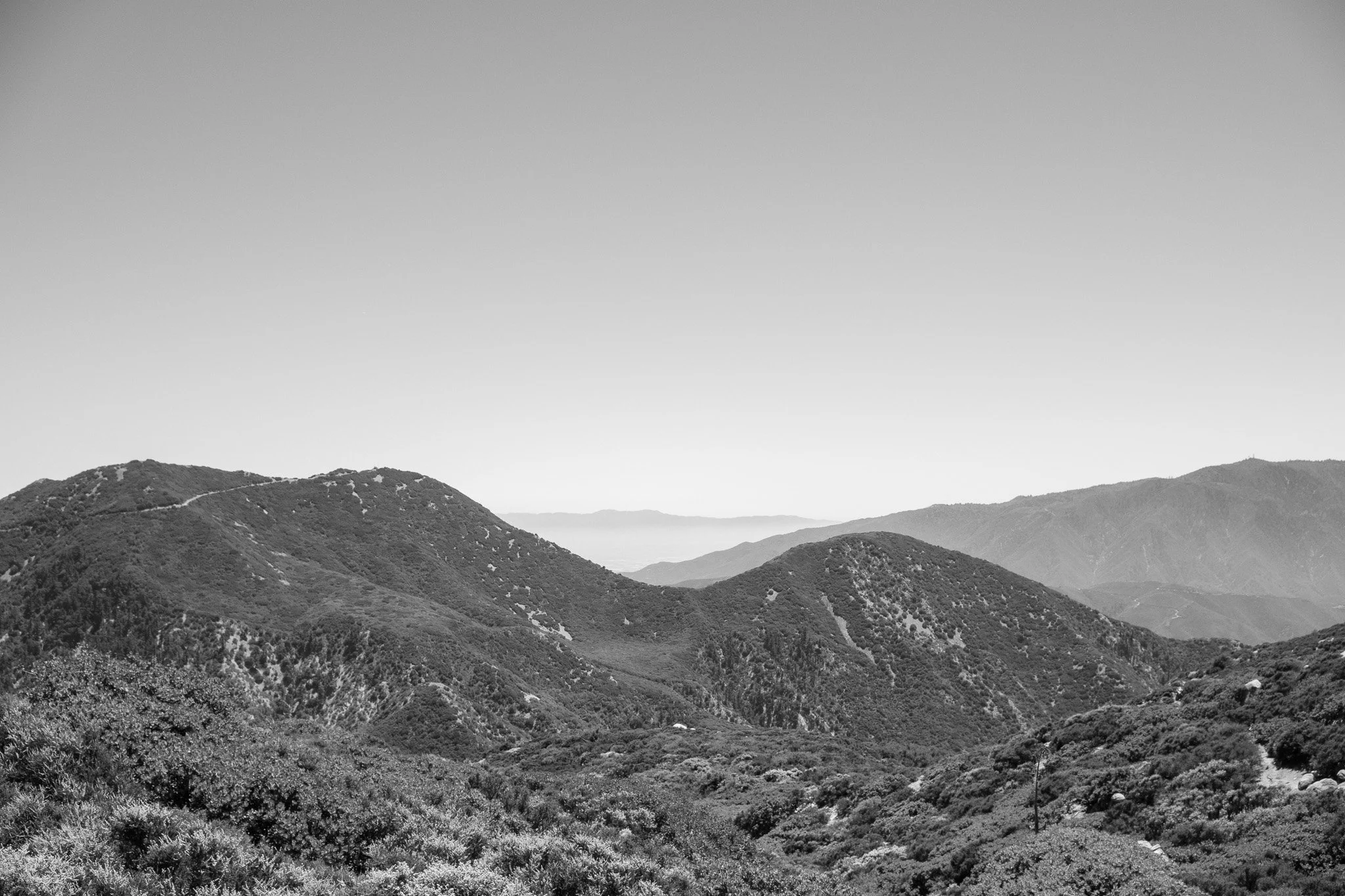 DSCF7716.jpg