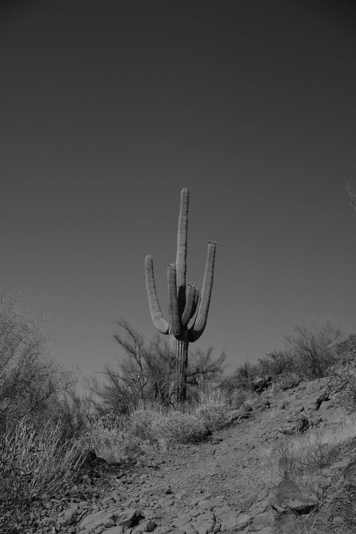 DSCF0113.jpg
