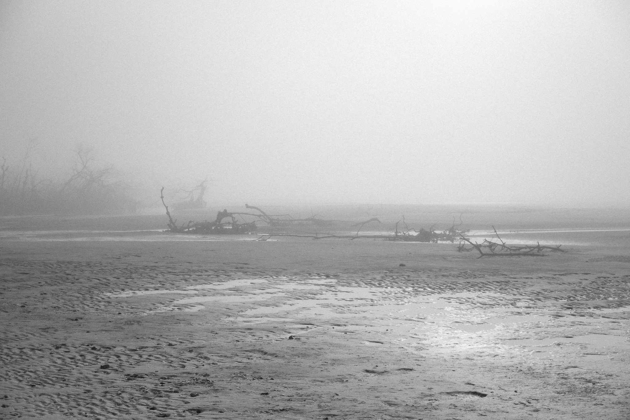 DSCF9902.jpg