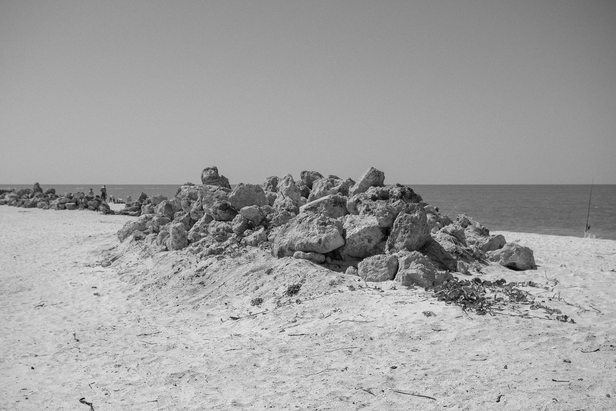 DSCF6005-2.jpg