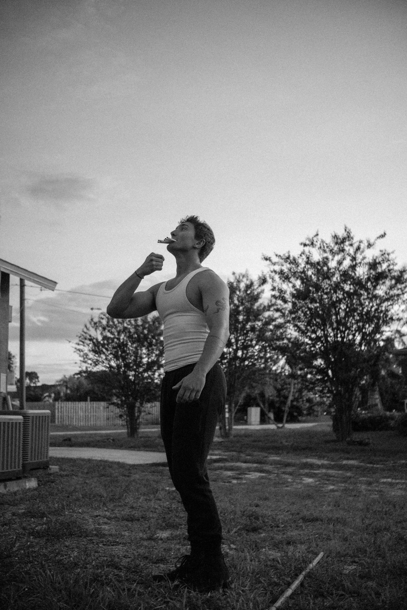 Benevolent Mischief-03.jpg