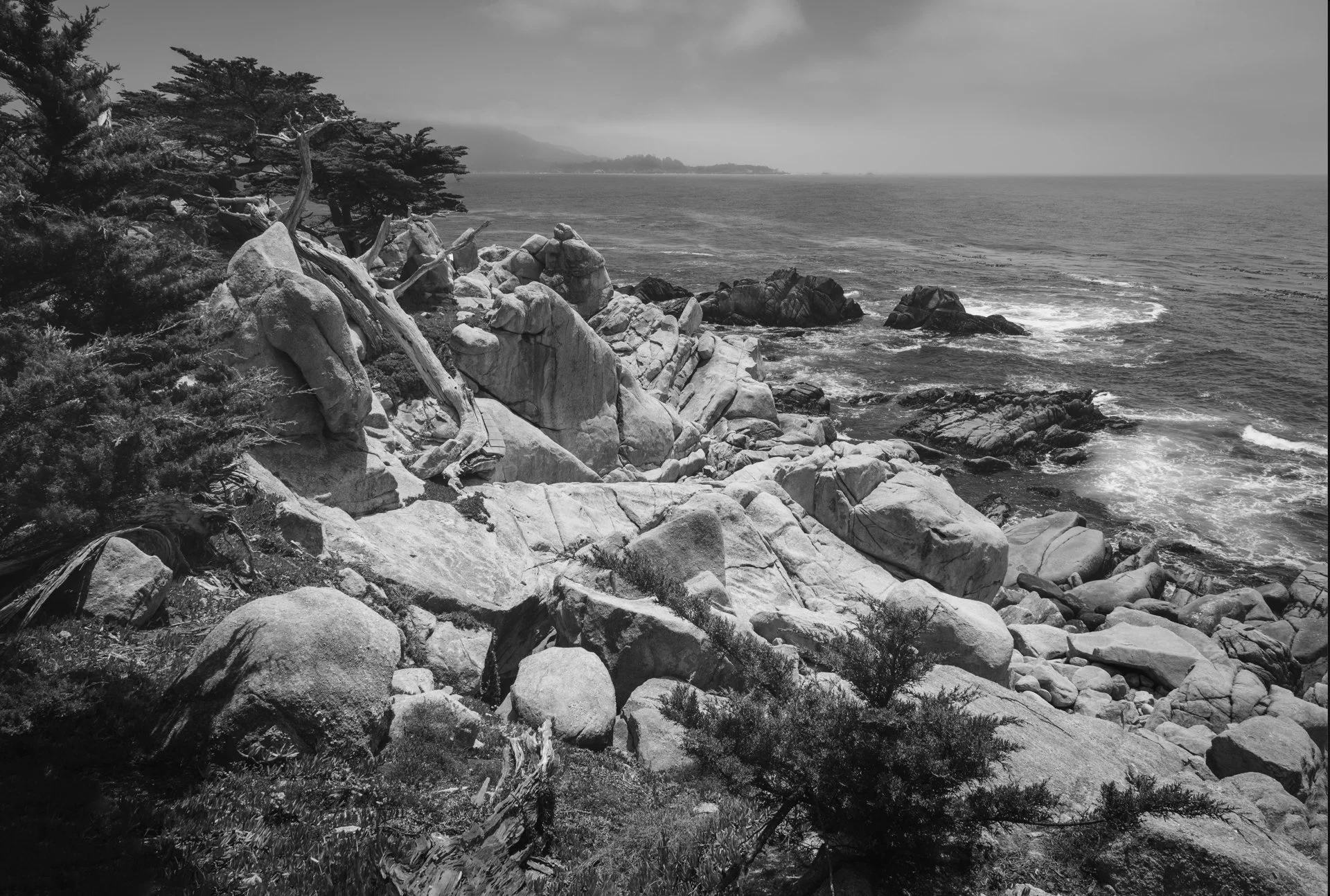 Monterey Coast 8 x 12 LR.jpg