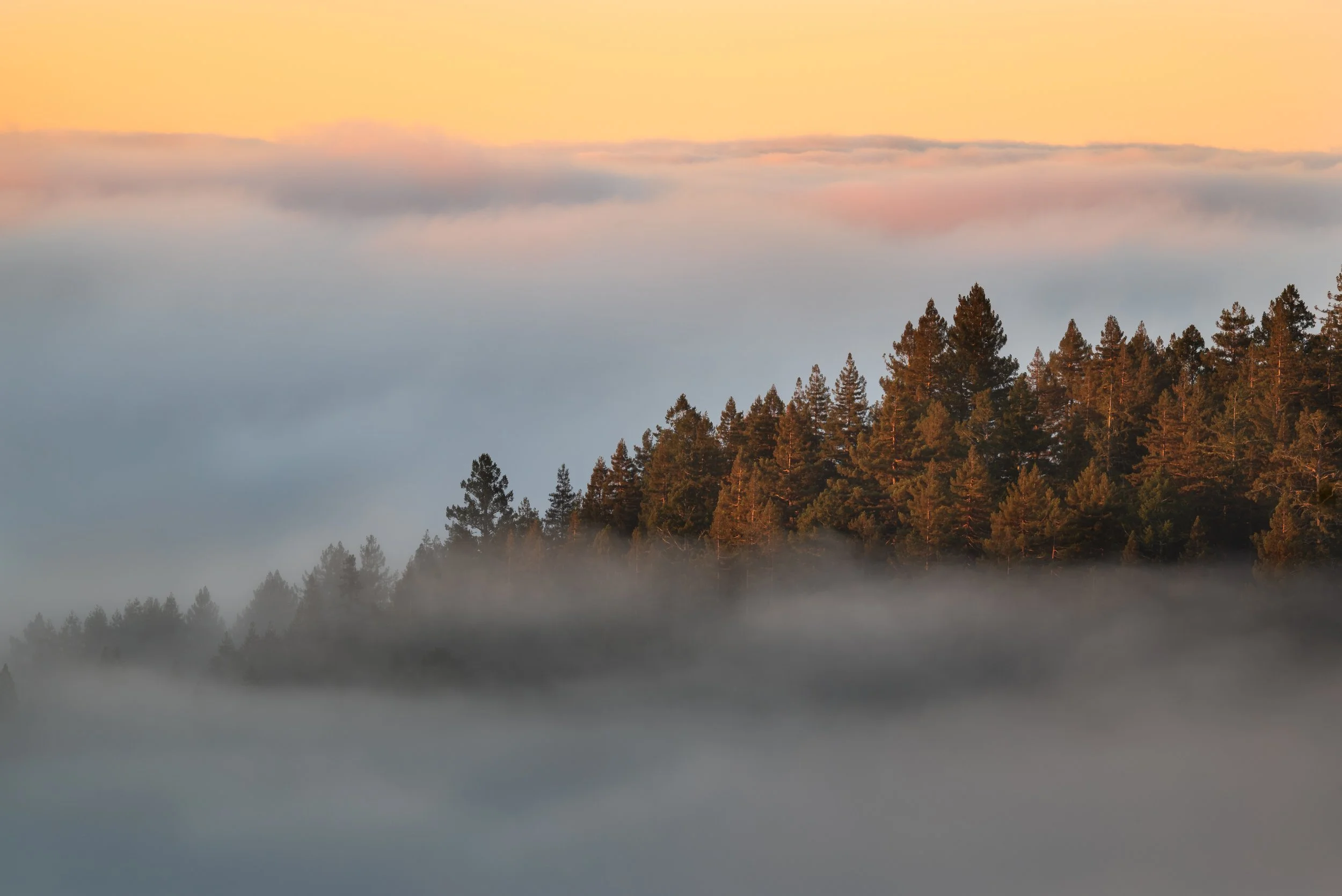 JRW_0317-Edit-3-1 PS.jpg