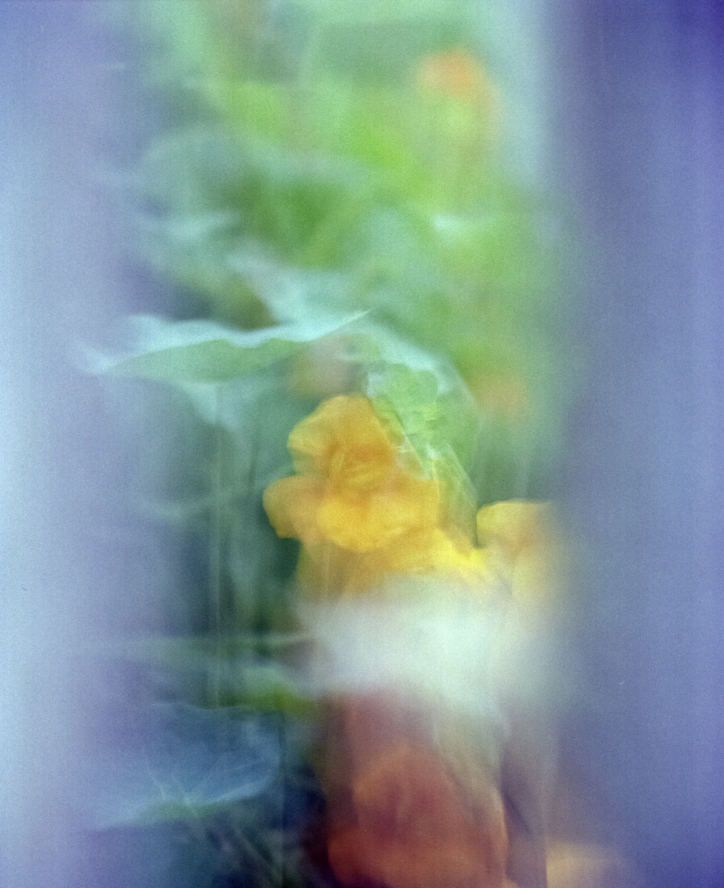 000282310003_3.jpg