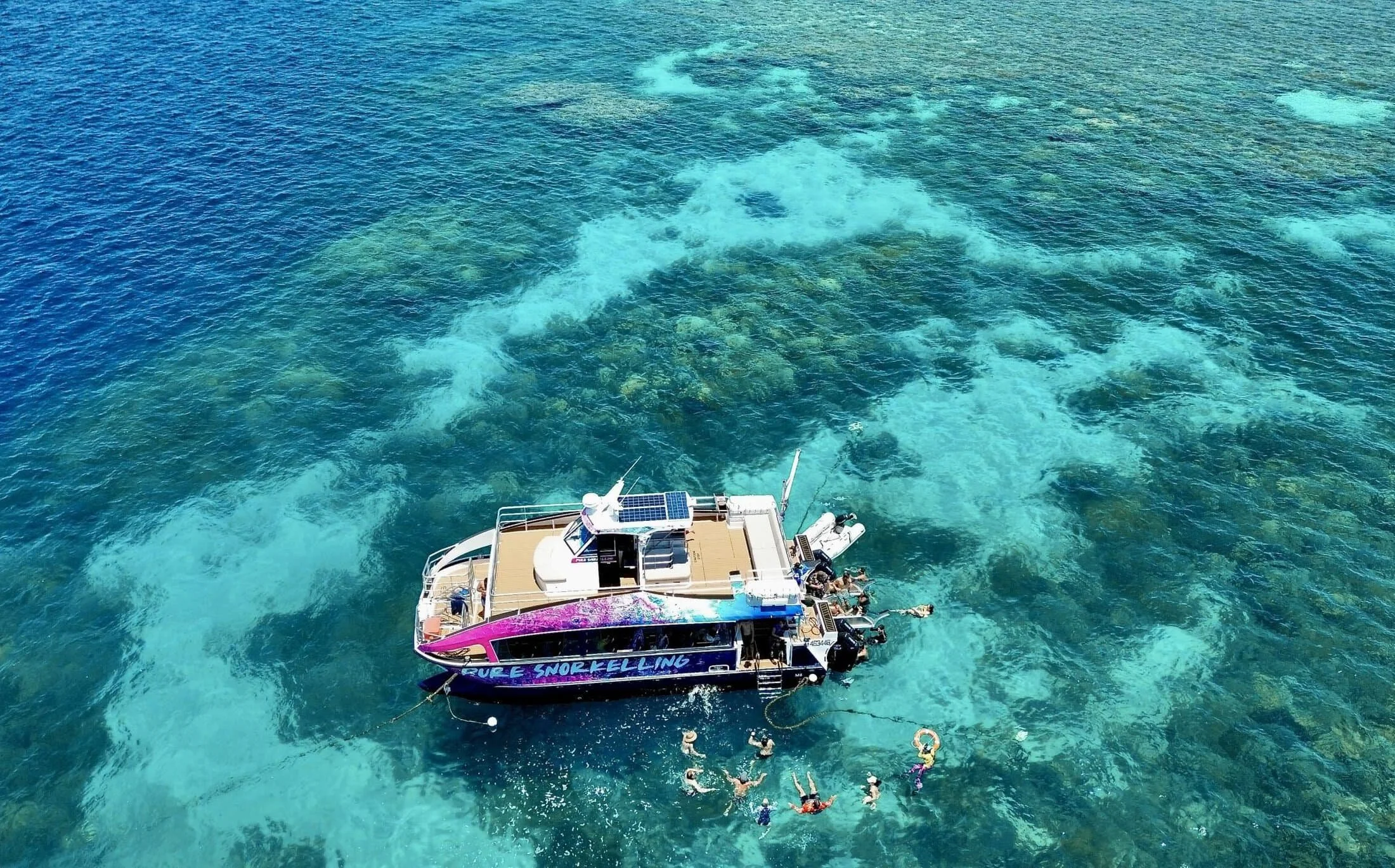 pure snorkelling.jpeg