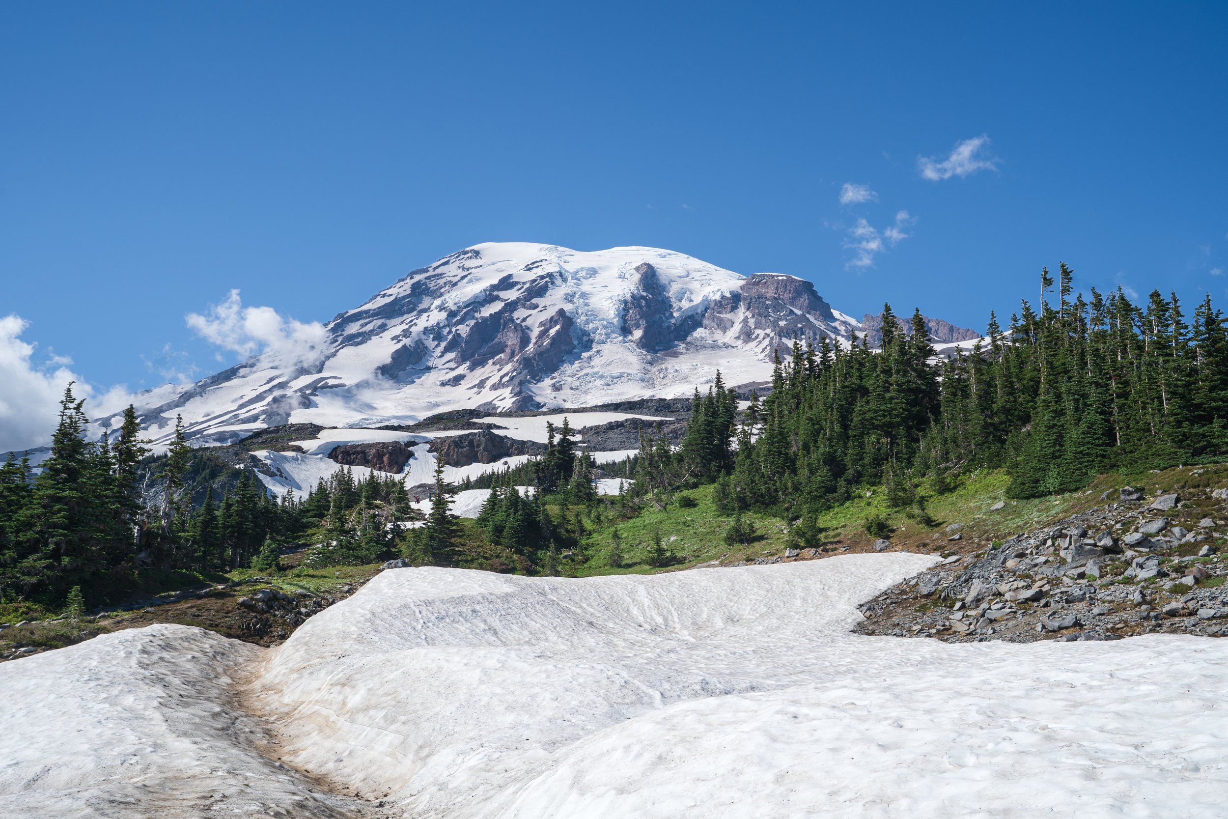 Mount Rainier National Park