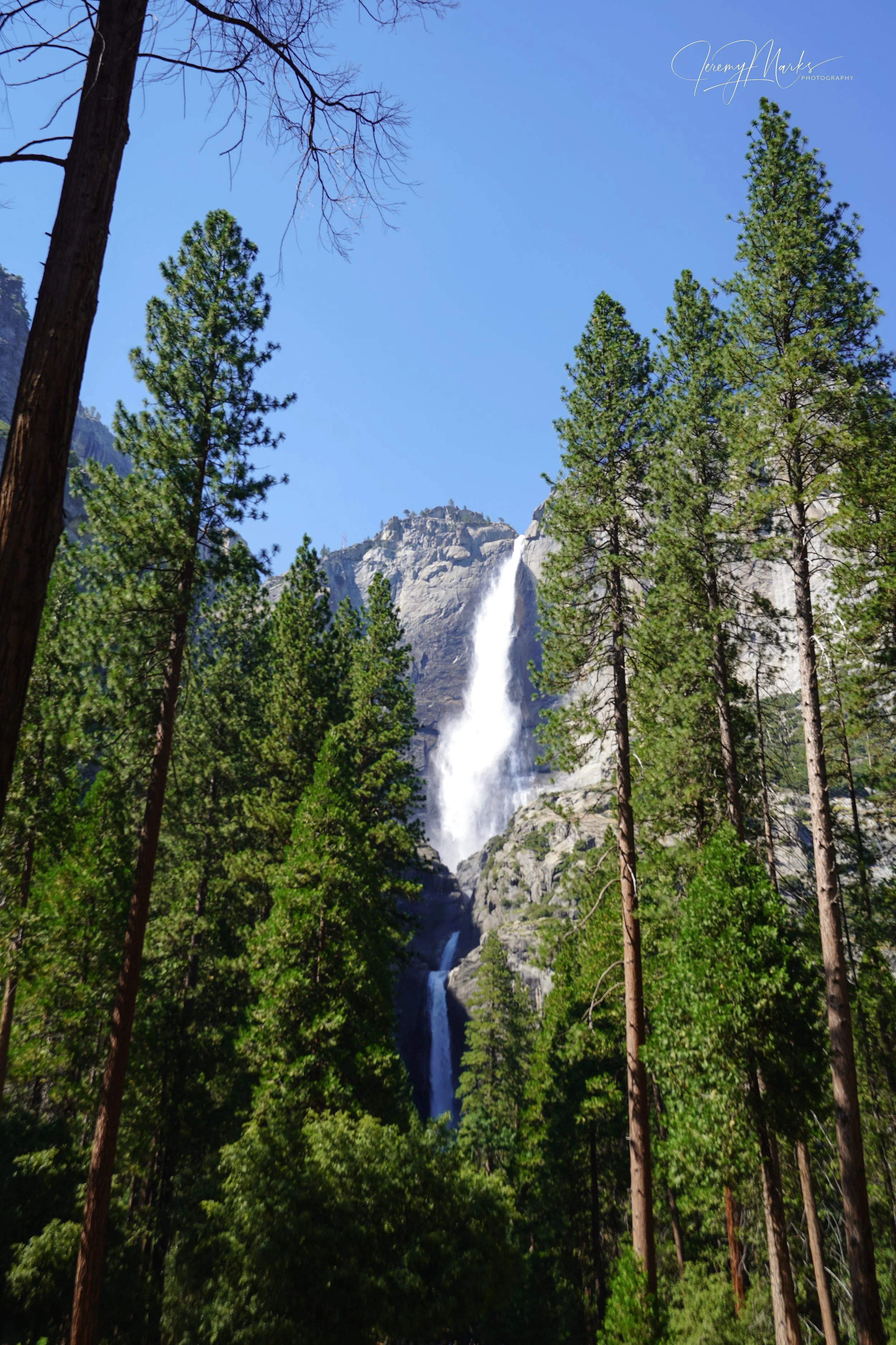Lower Yosemite Falls, Yosemite National Park