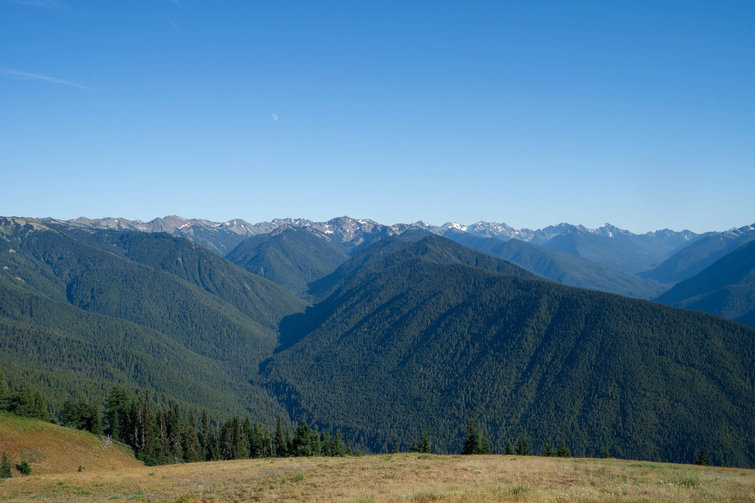 Olympic National Park