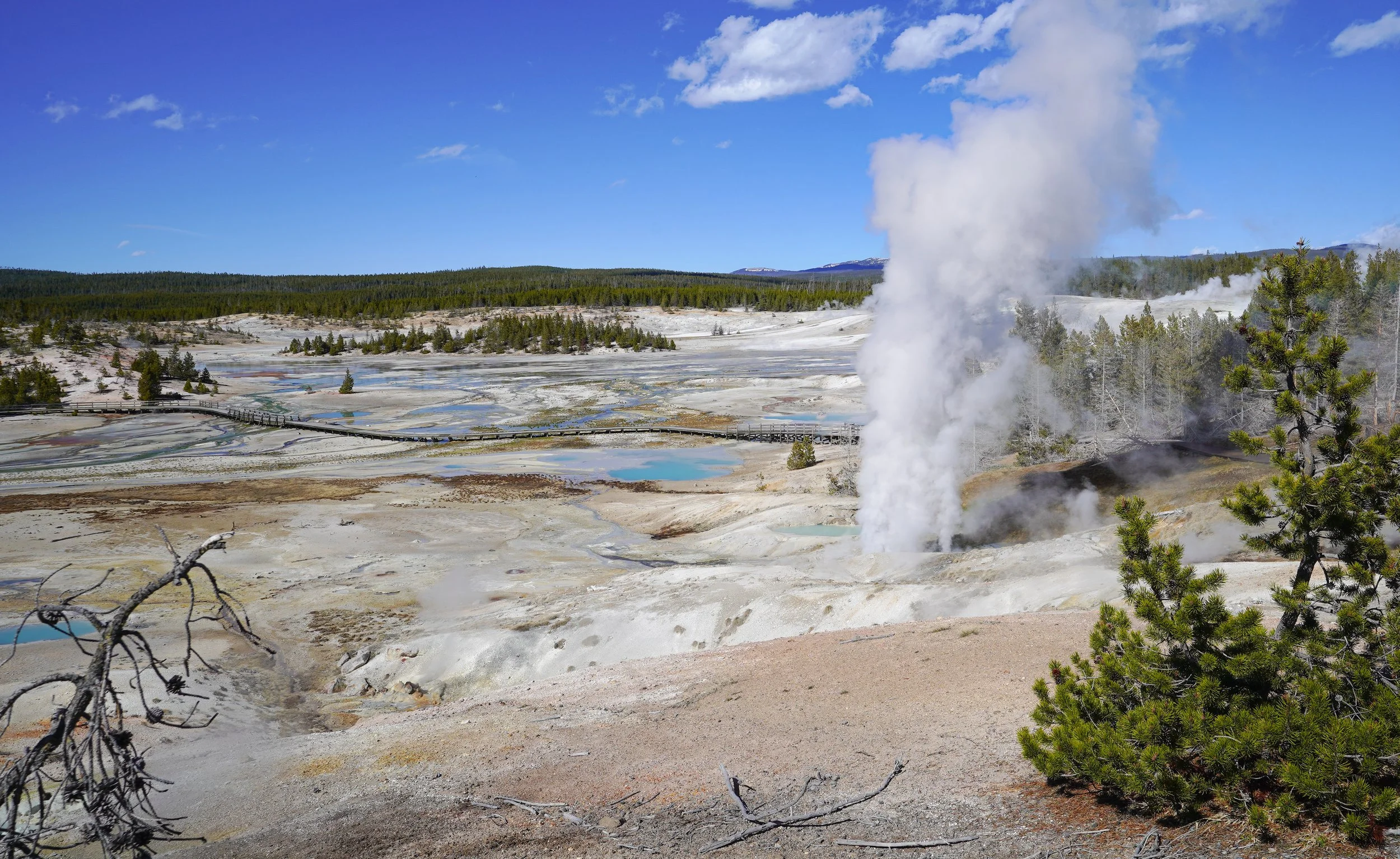 Yellowstone National Park