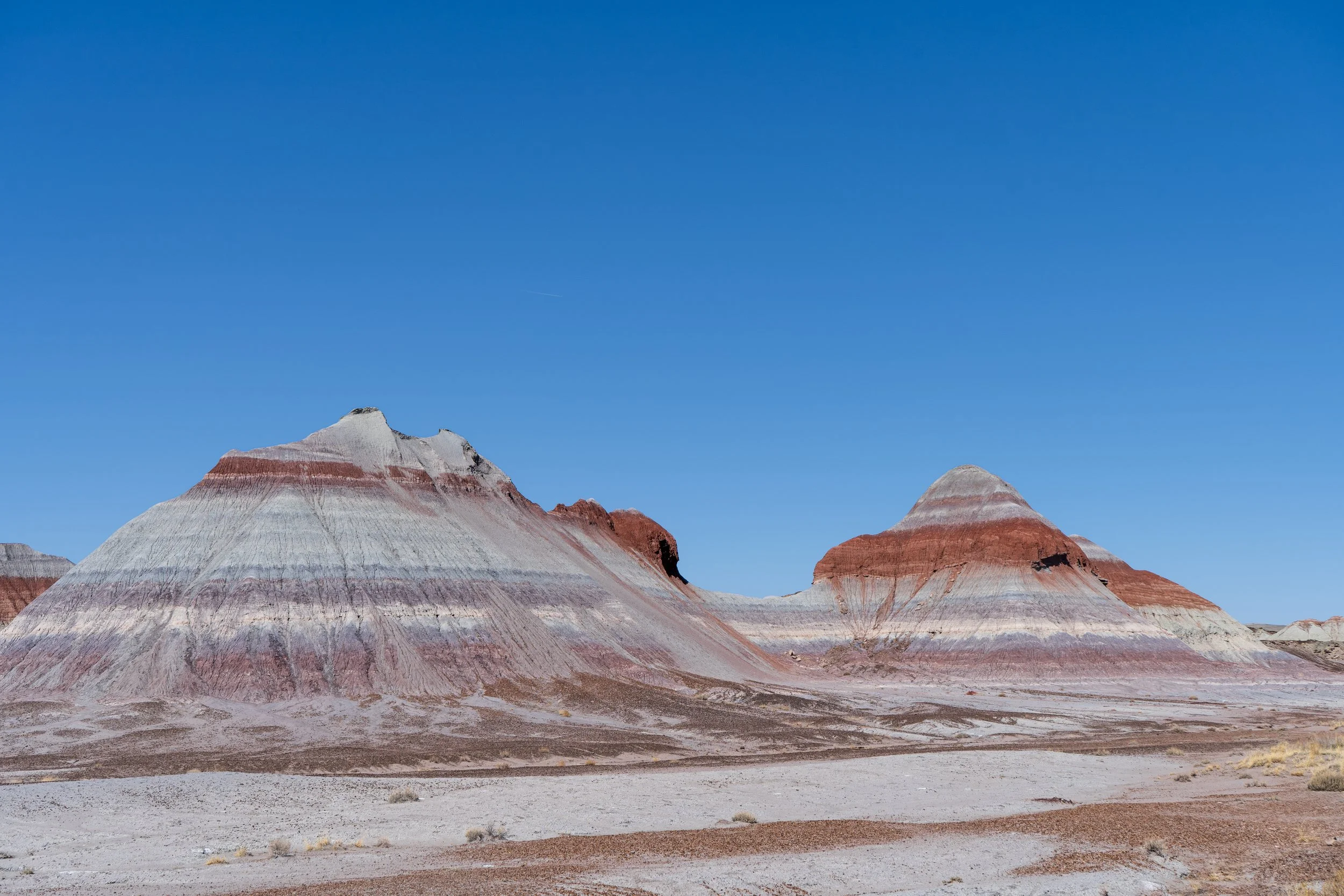 Petrified Forest National Park