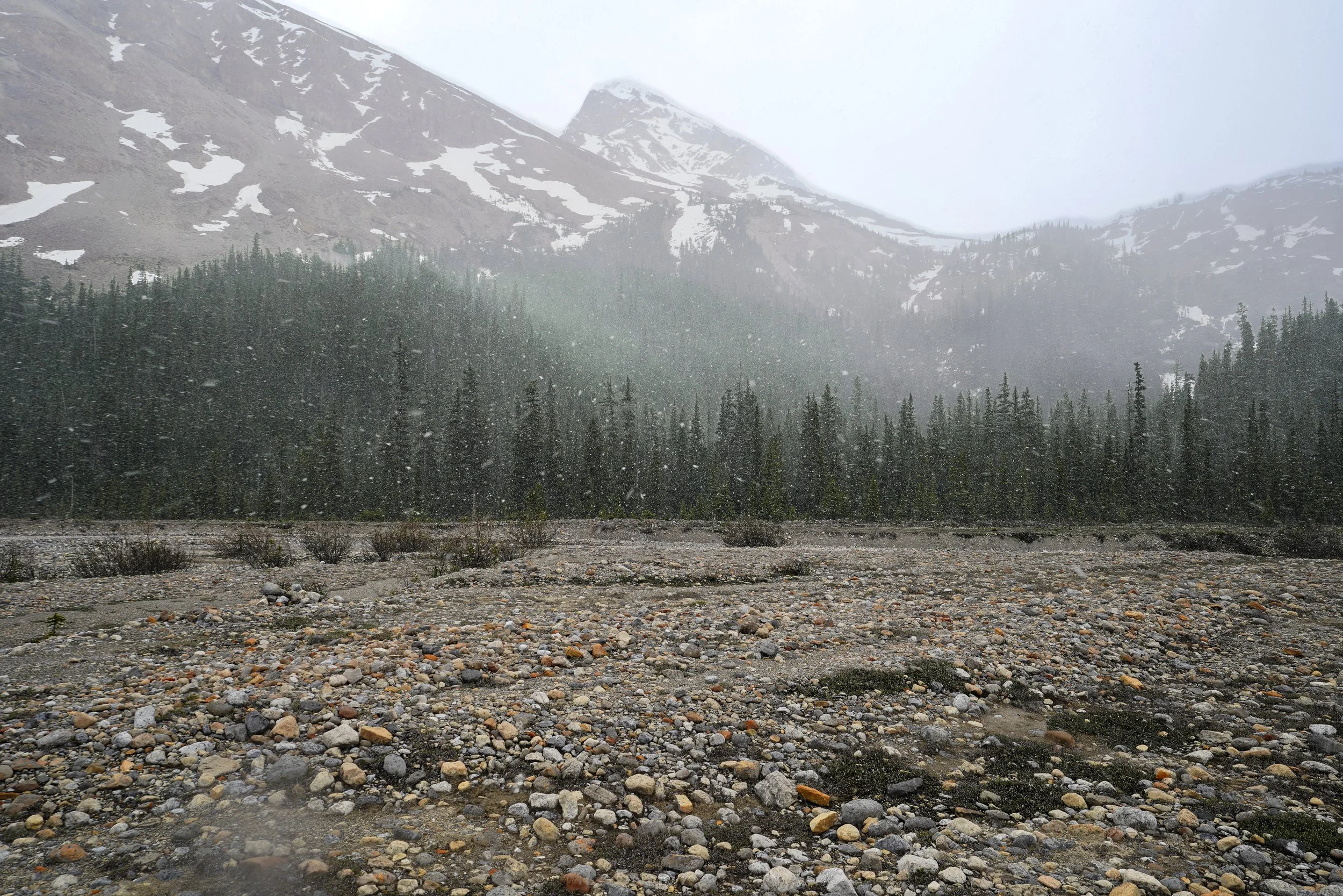 Banff National Park