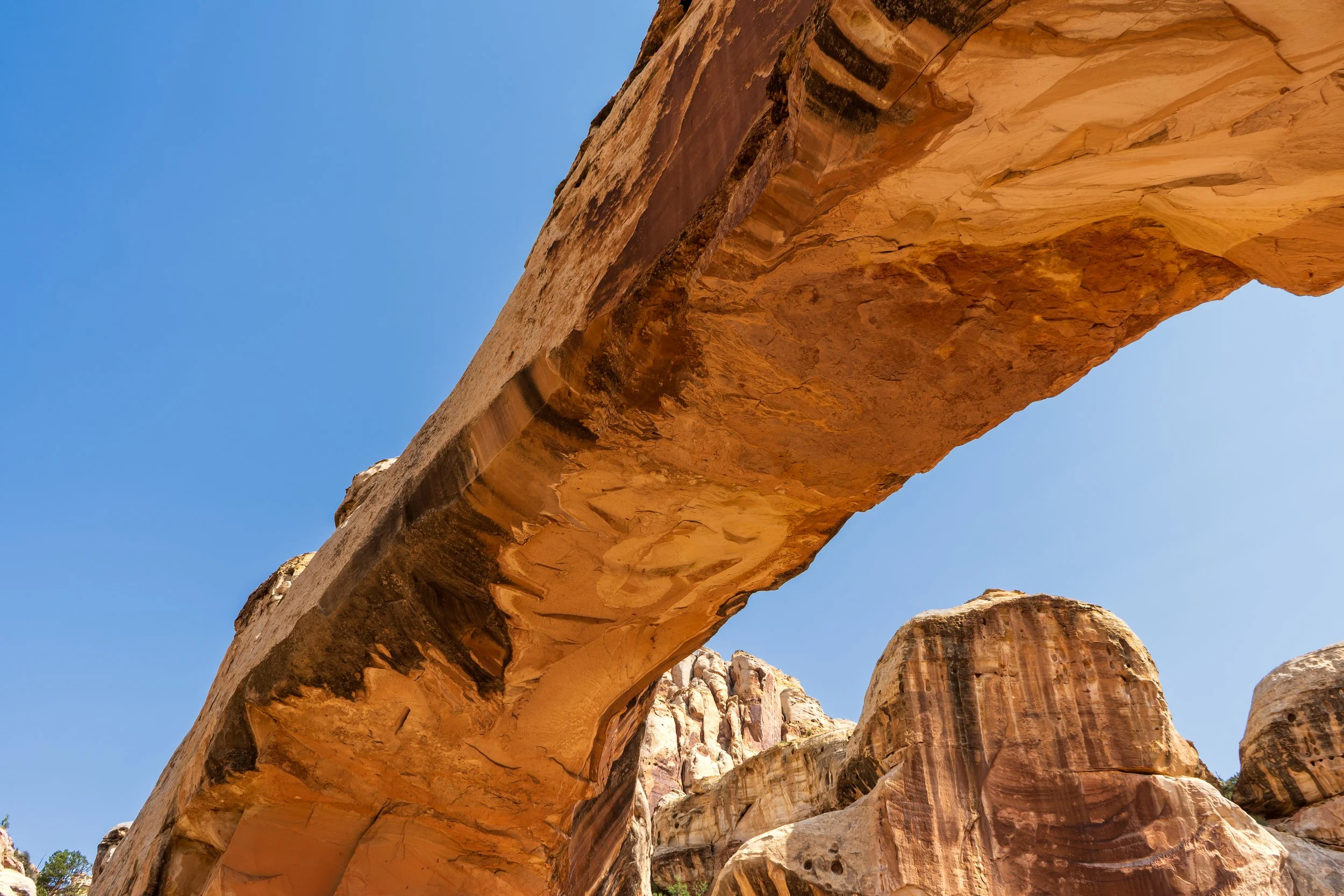 Capitol Reef National Park