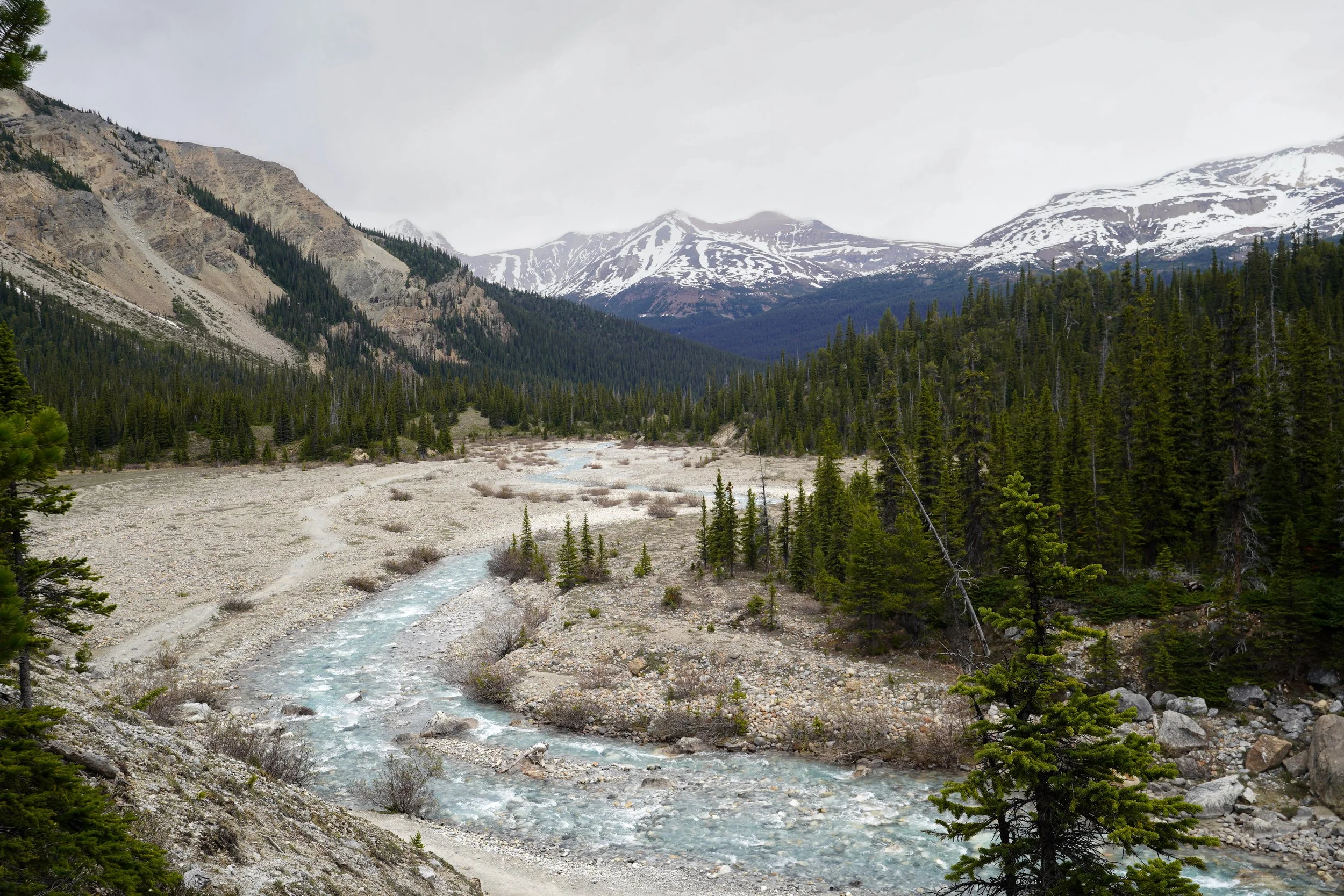 Banff National Park