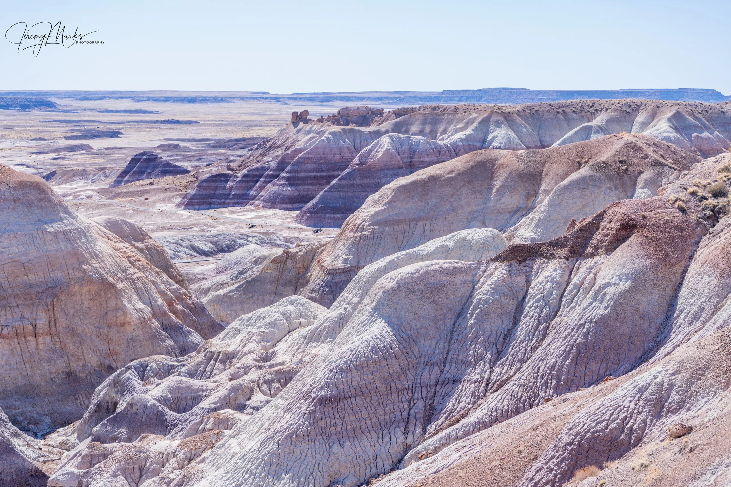 Petrified Forest NP