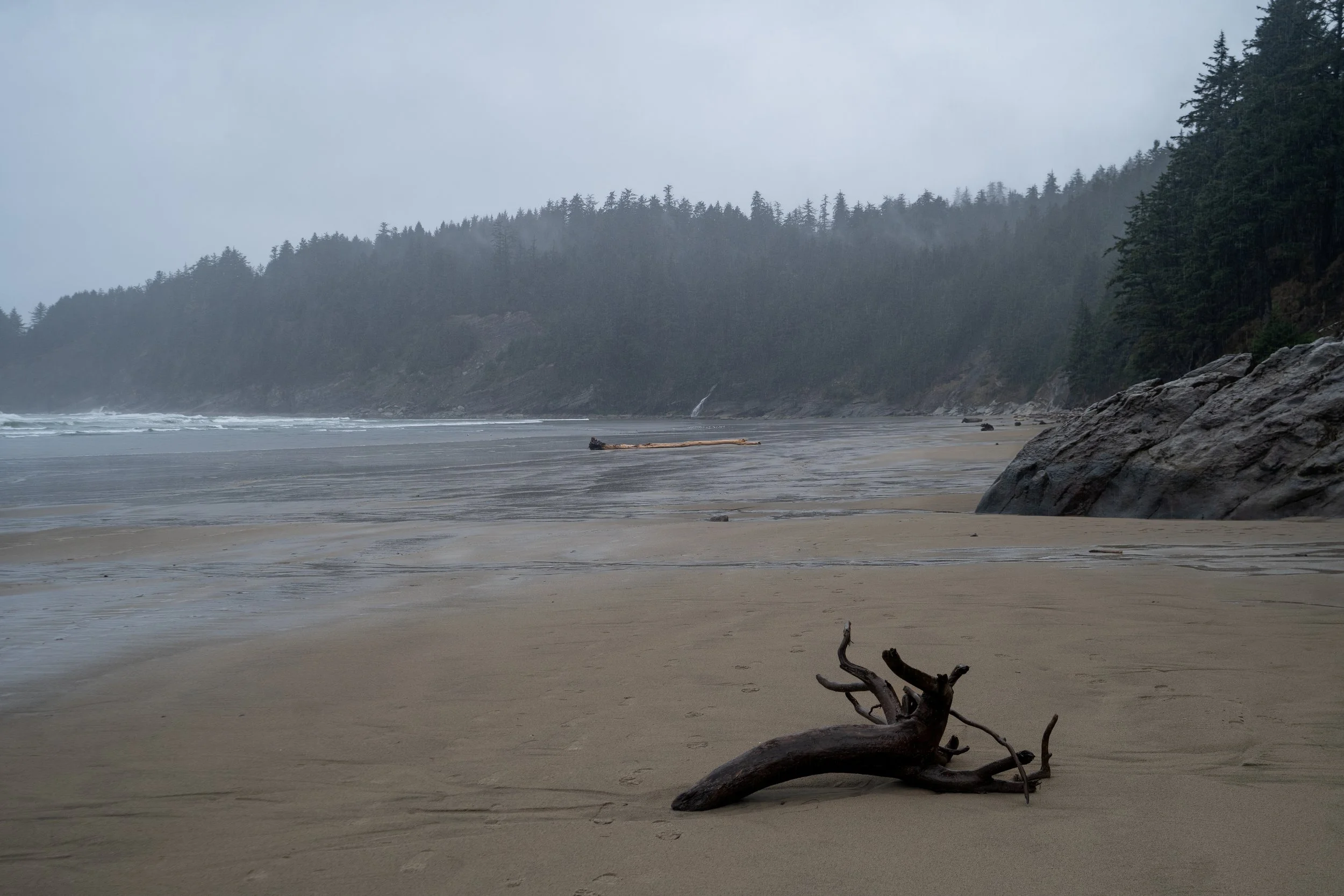 Oswald West State Park, Oregon