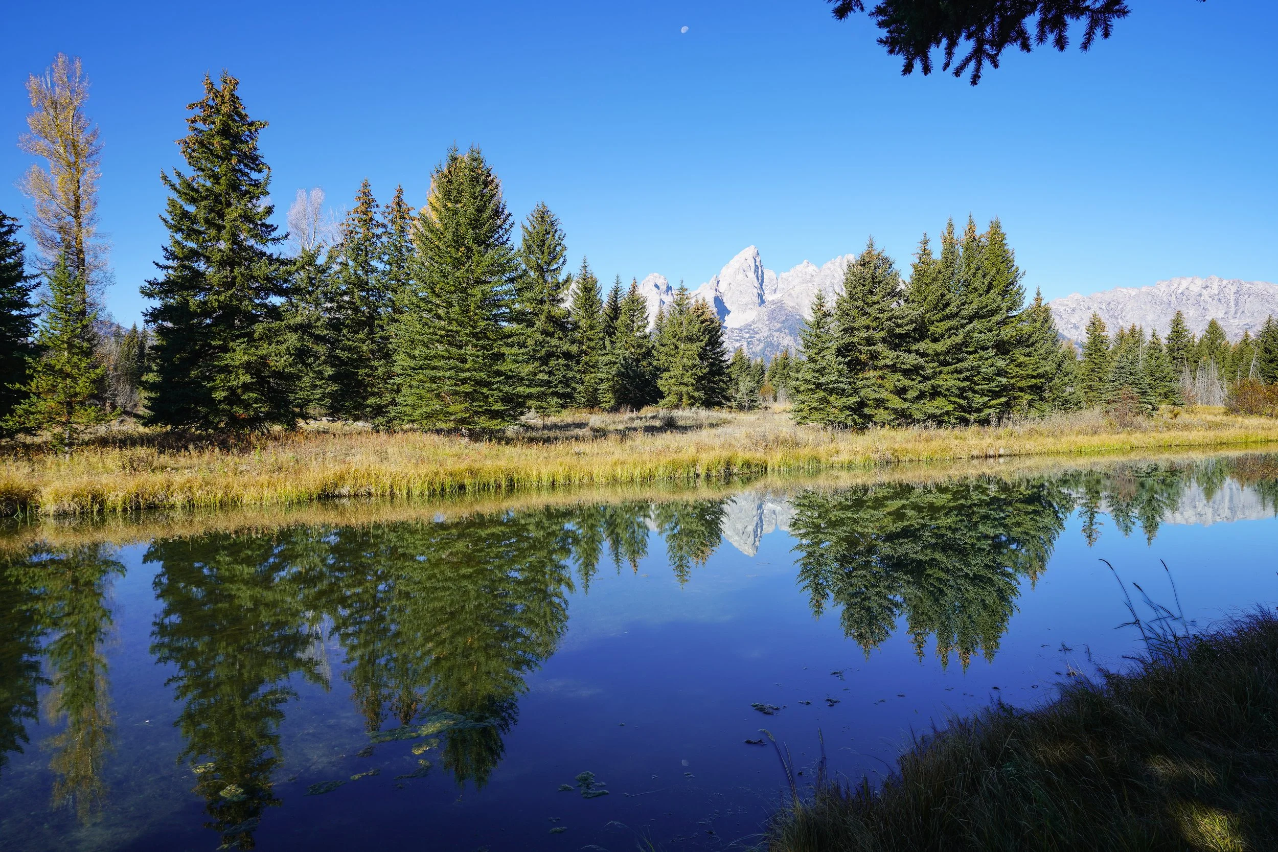 Grand Teton National Park