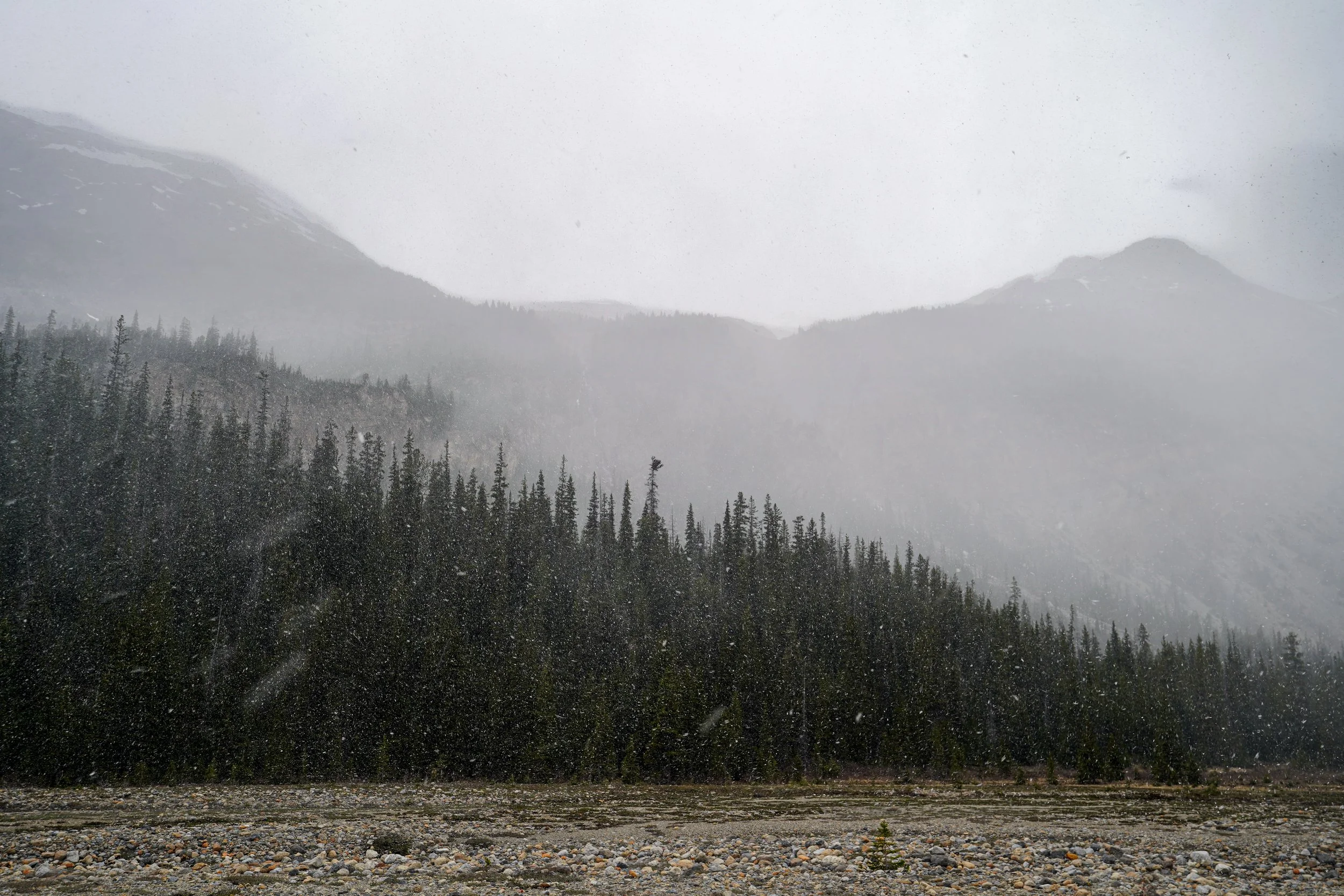 Banff National Park