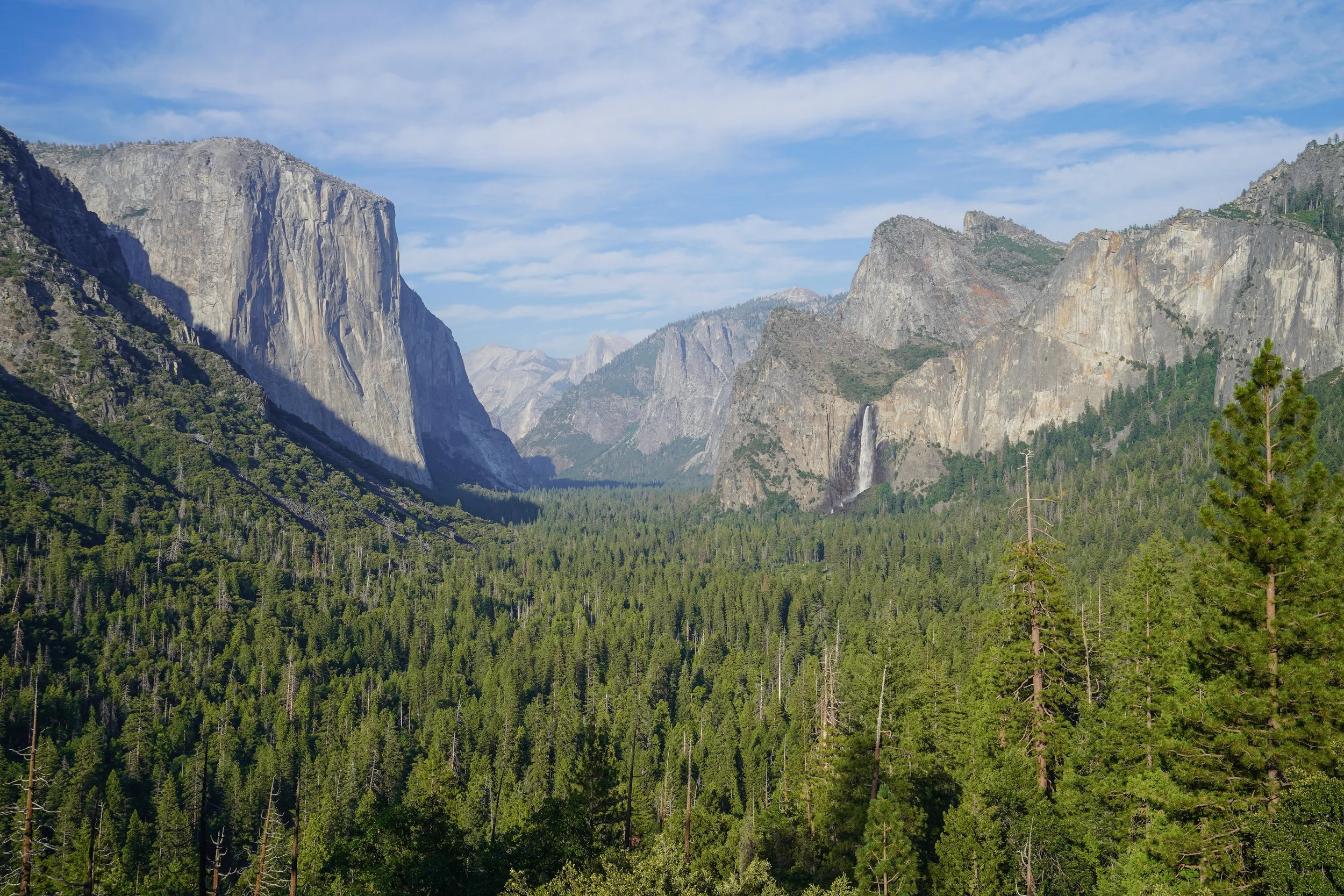 Yosemite National Park