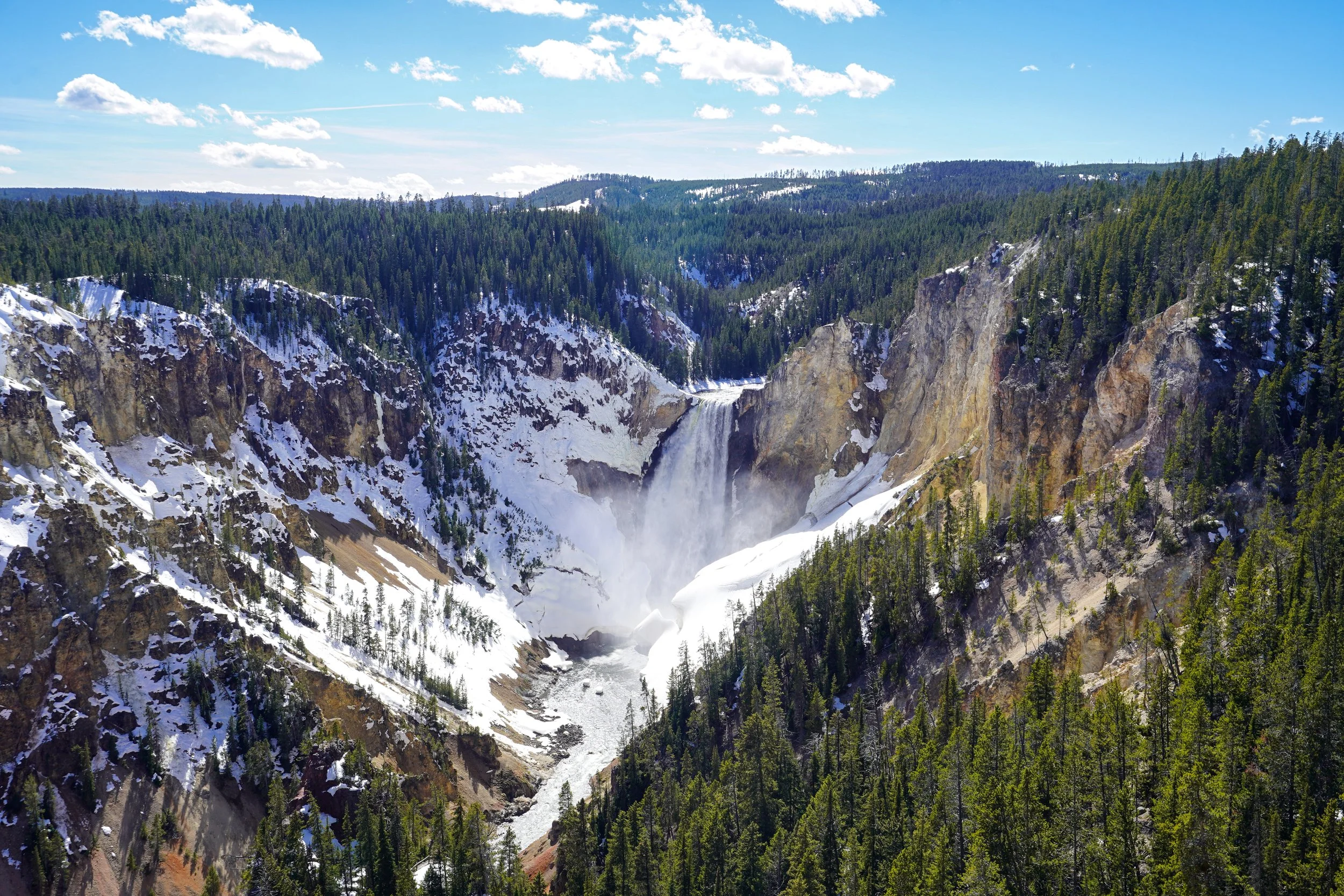 Yellowstone Falls - Spring, Yellowstone National Park