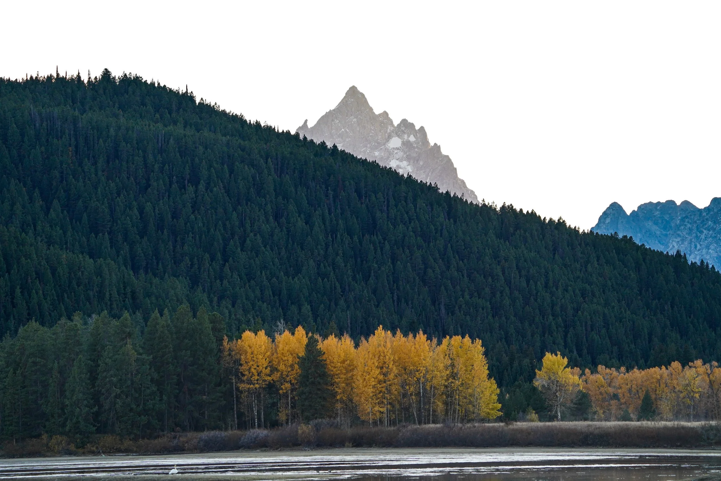 Grand Teton National Park