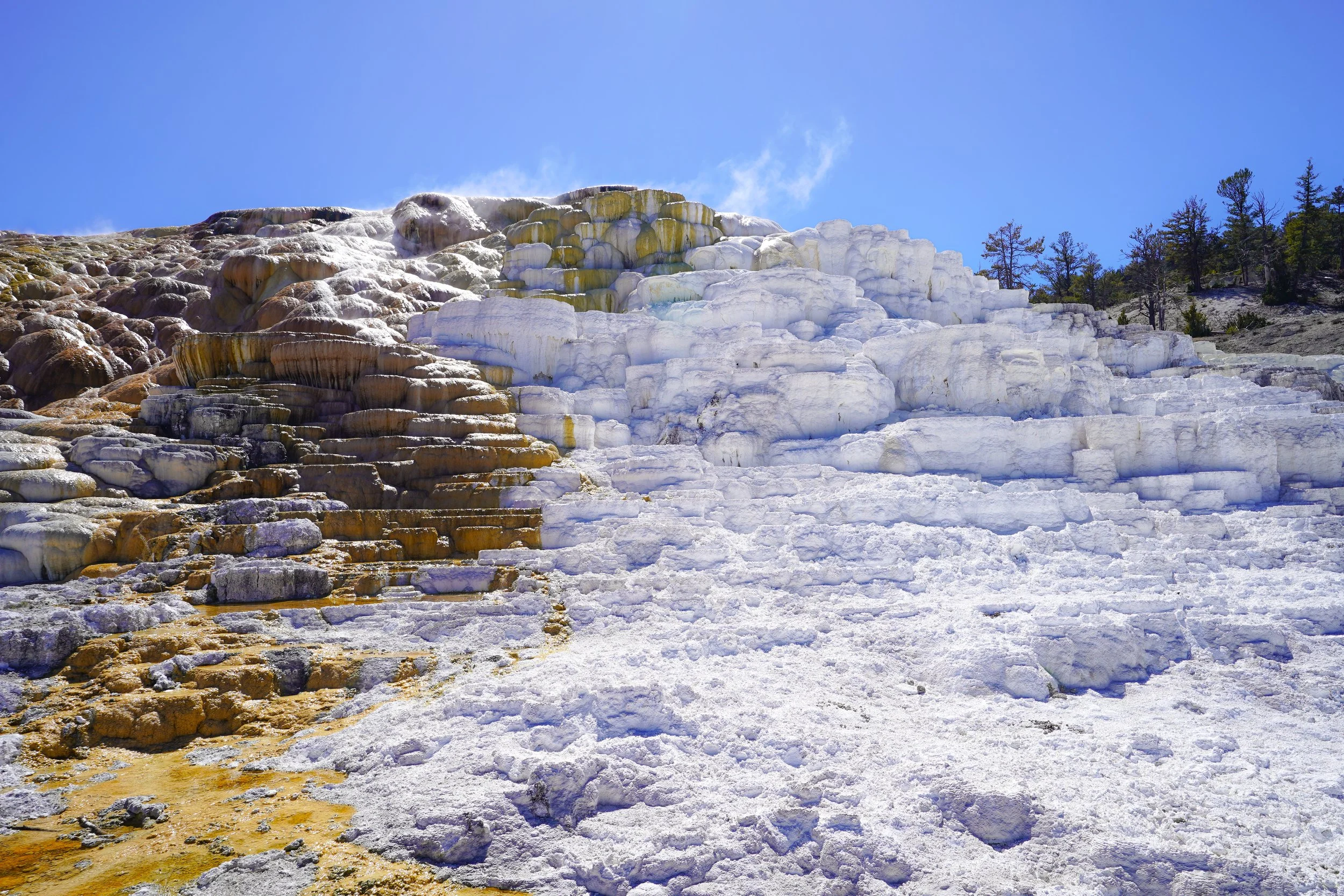 Yellowstone National Park
