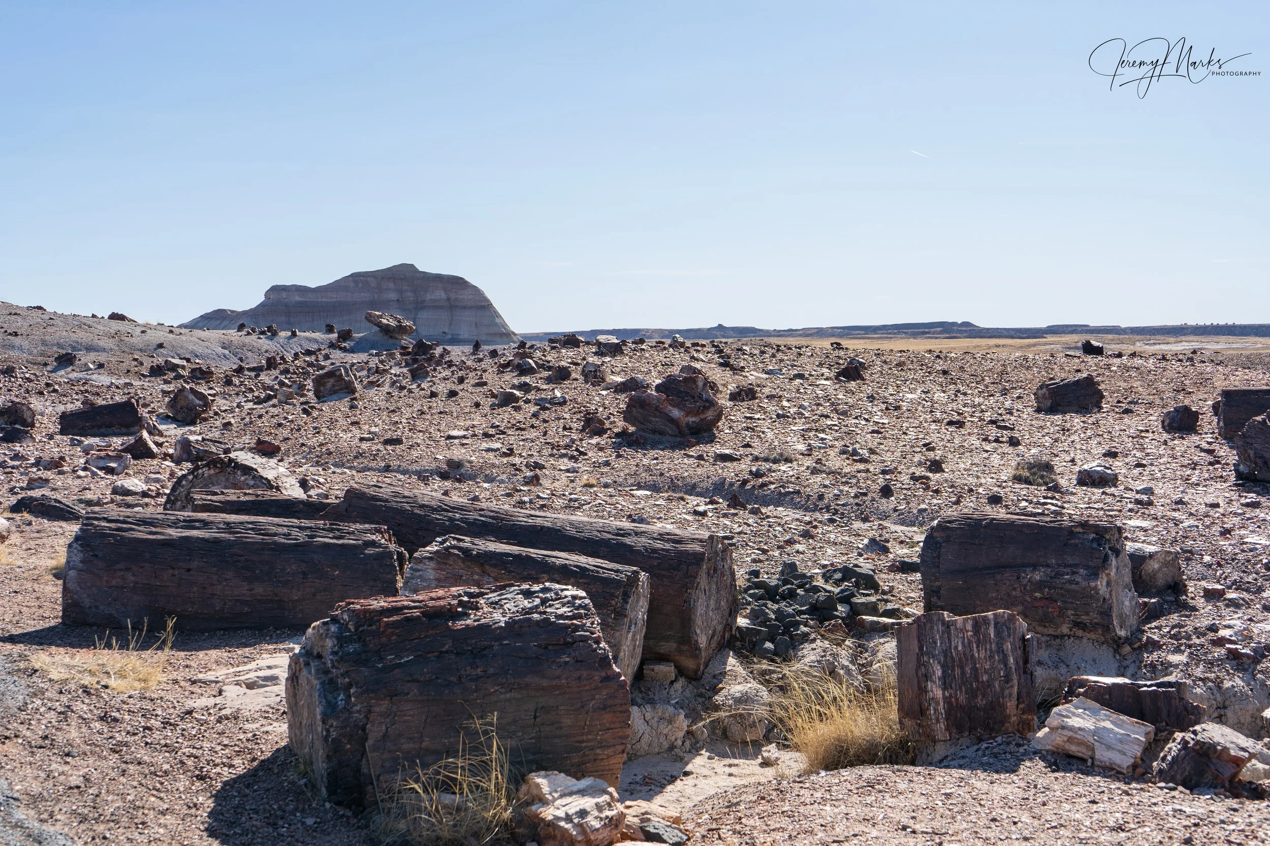 Petrified Forest NP