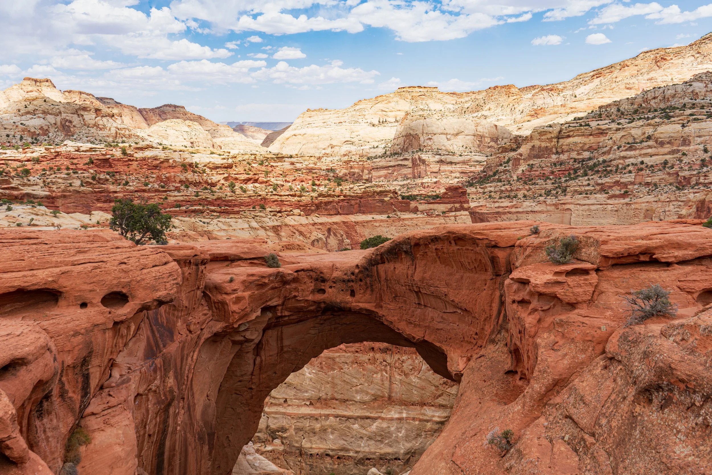 Capitol Reef National Park