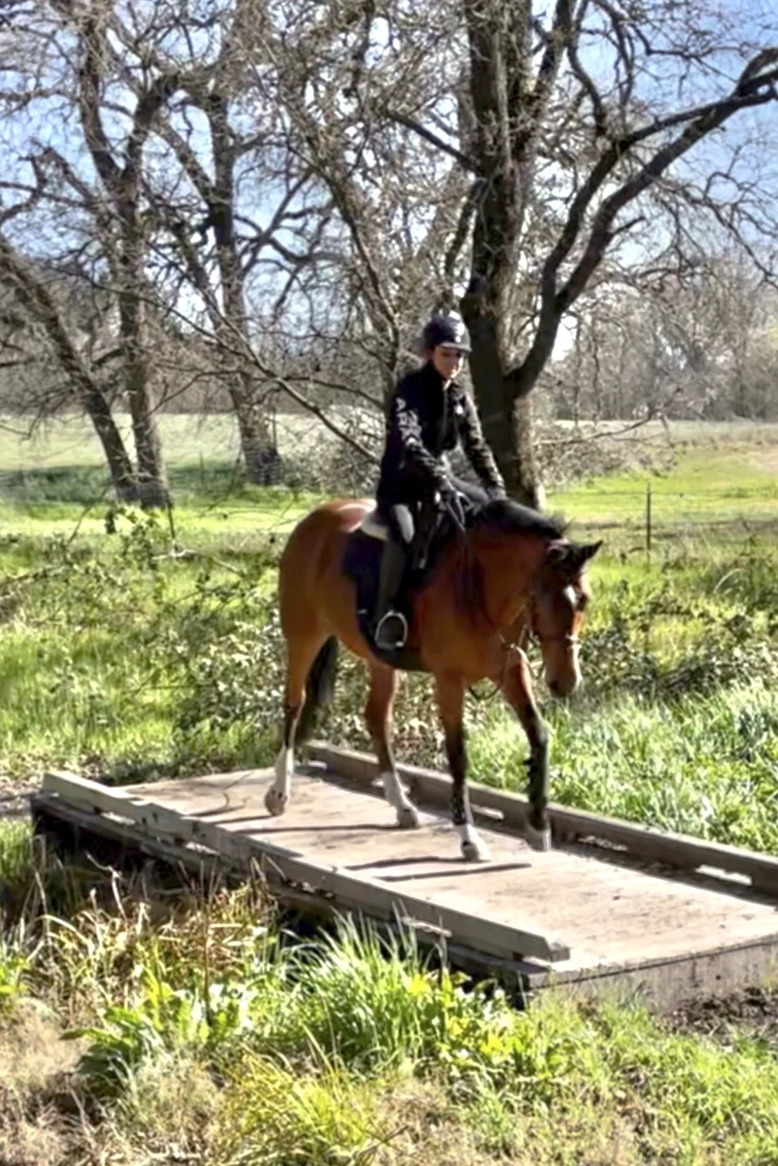 equestrian on horse building confidence over obstacles