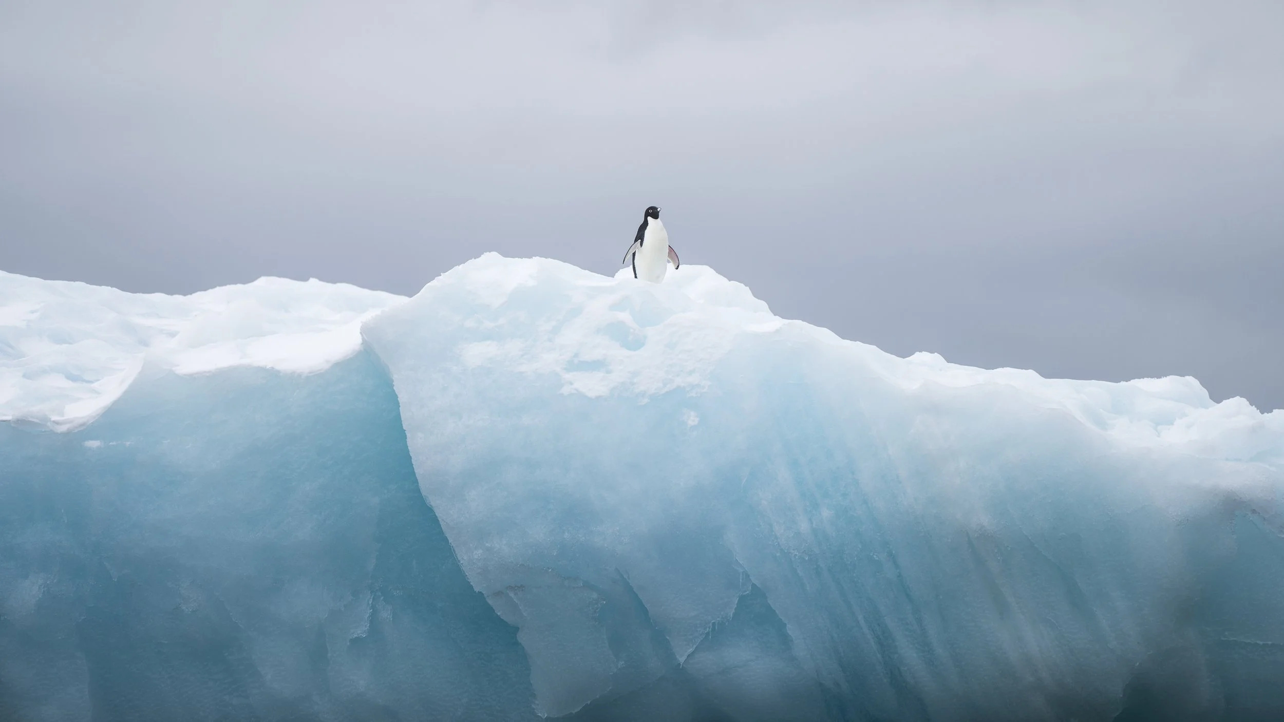 Antarctica Travel Group