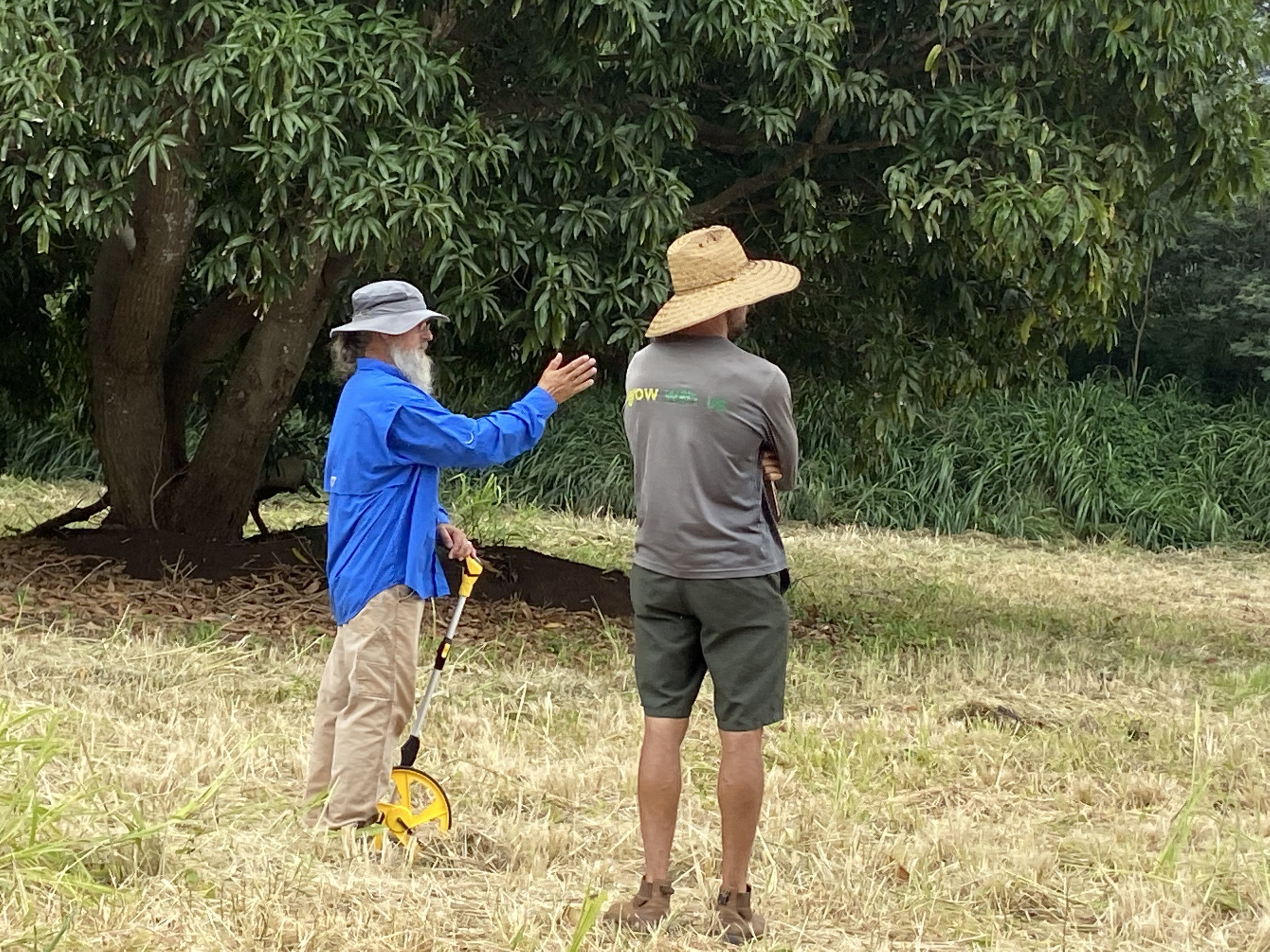 2 Hour Site Visit and Consultation, Soil Lab Report & Recommendations for Amending Soil