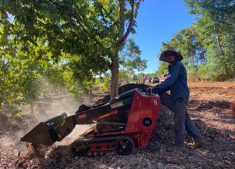 With Coconut rhinoceros beetle concerns.. it's great to have an option to 'mulch your own'. An excellent option is a heavy duty flail mower that can 'mow' pruned branches in your orchard and grind them into mulch. Heavy-duty chippers can do the job a