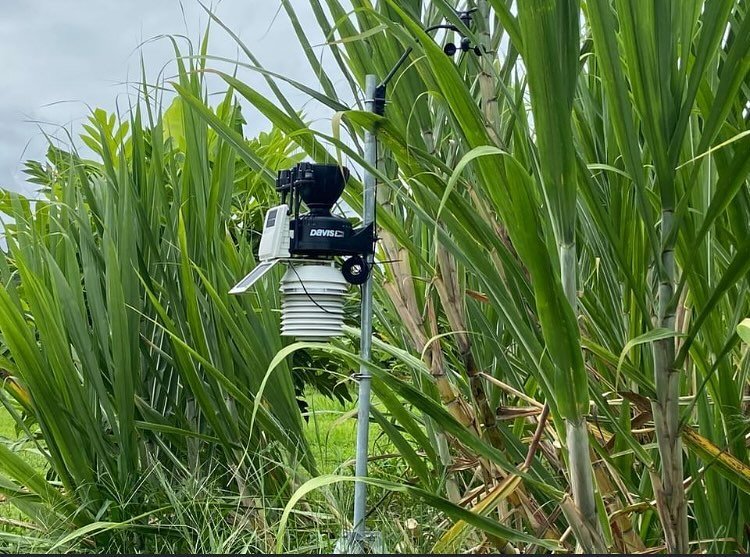 On-farm 'weather station' at OK Farm's agroforestry demo plot measuring soil moisture, evapotranspiration, temp, wind.. exciting.