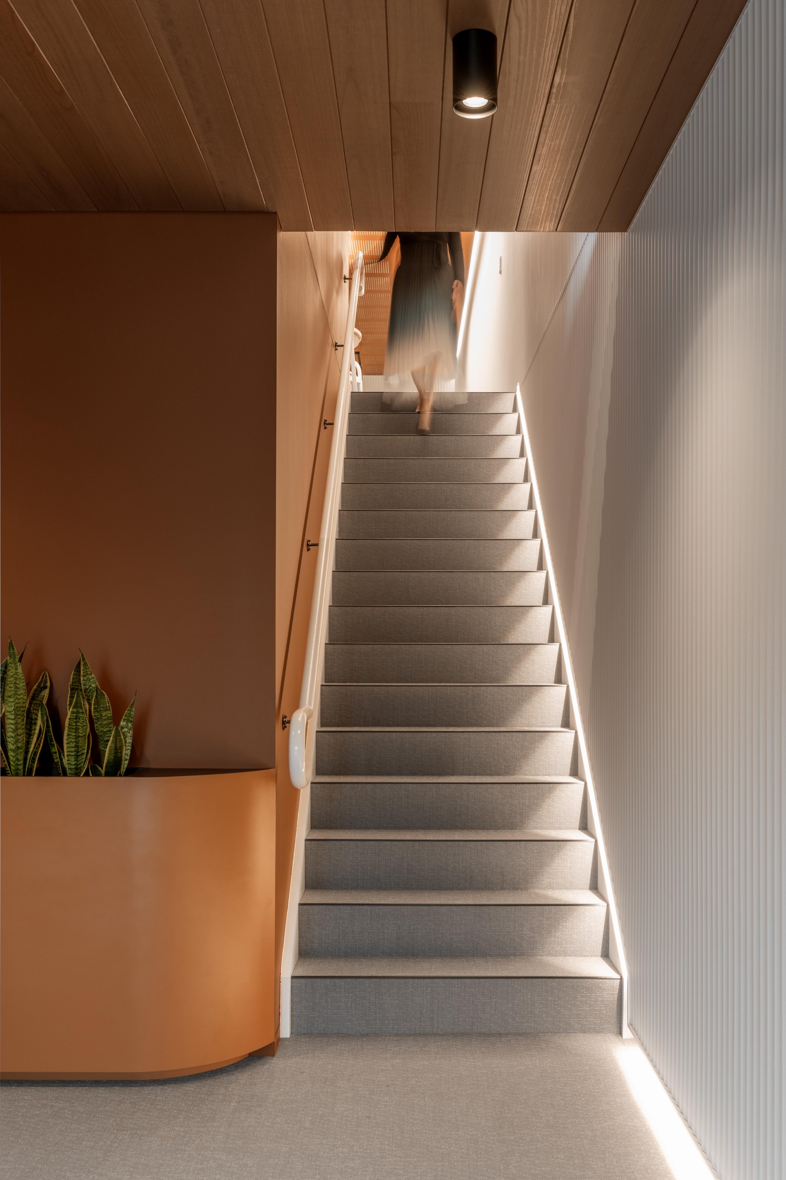 polina-radchenko-tangerine-staircase-vertical.jpg