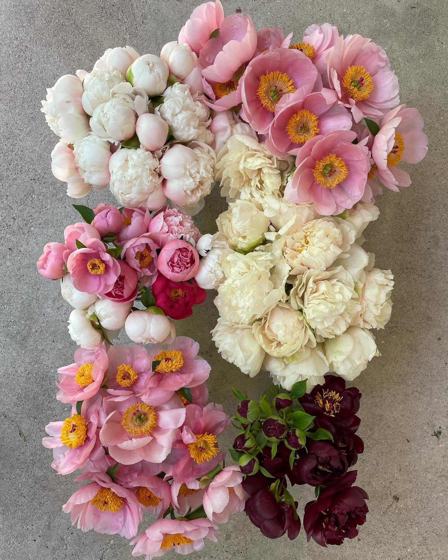 It is peony season! Can you smell these gorgeous blooms! Because it is heavenly. Life is full of seasons. Some drag on and some fly by. I remember with kids the toddler years seemed long. Now I have a teen and a few tweens! Now, it seems as if that s
