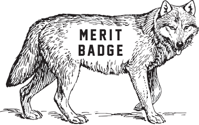 Merit Badge