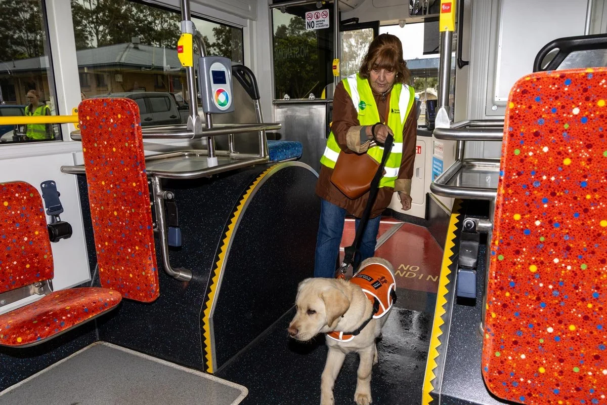 2026-Aug-TSNSW-Guide-Dogs-1.jpg