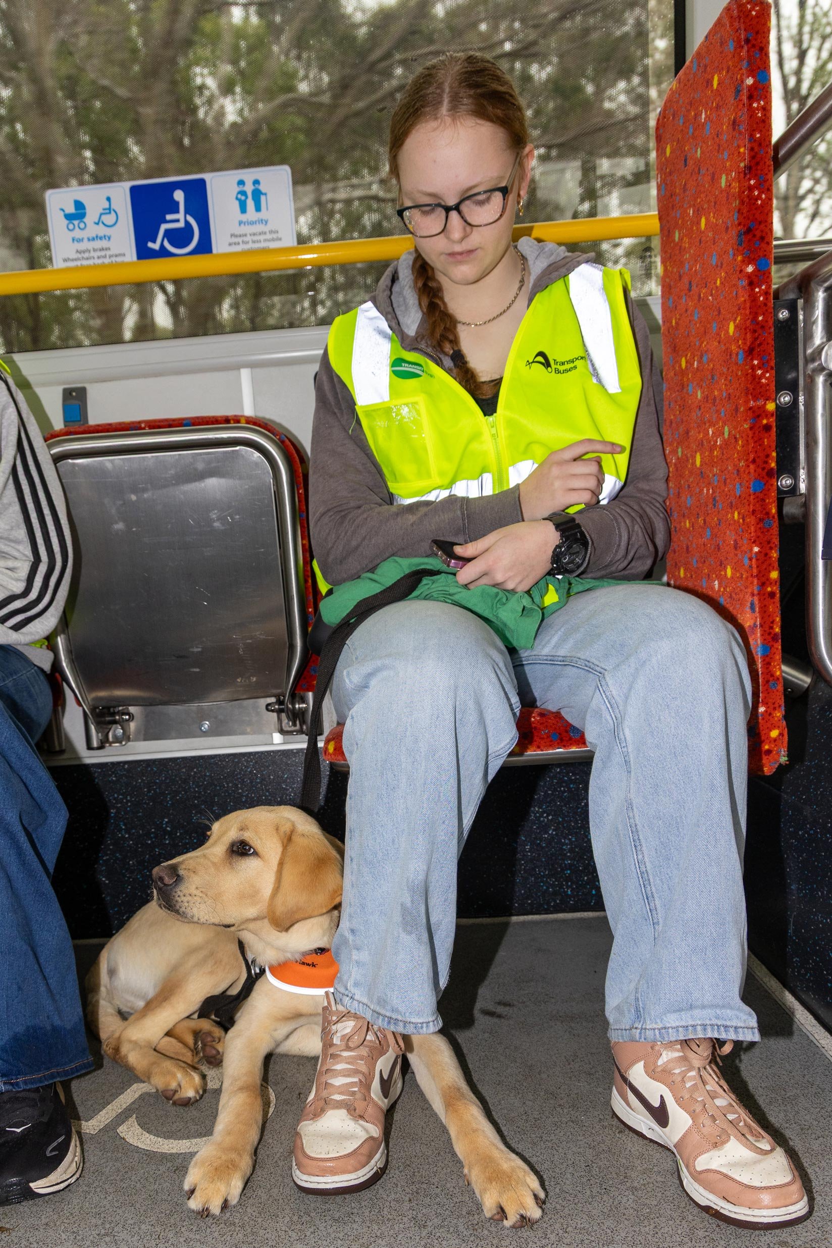 2026-Aug-TSNSW-Guide-Dogs-4.jpg
