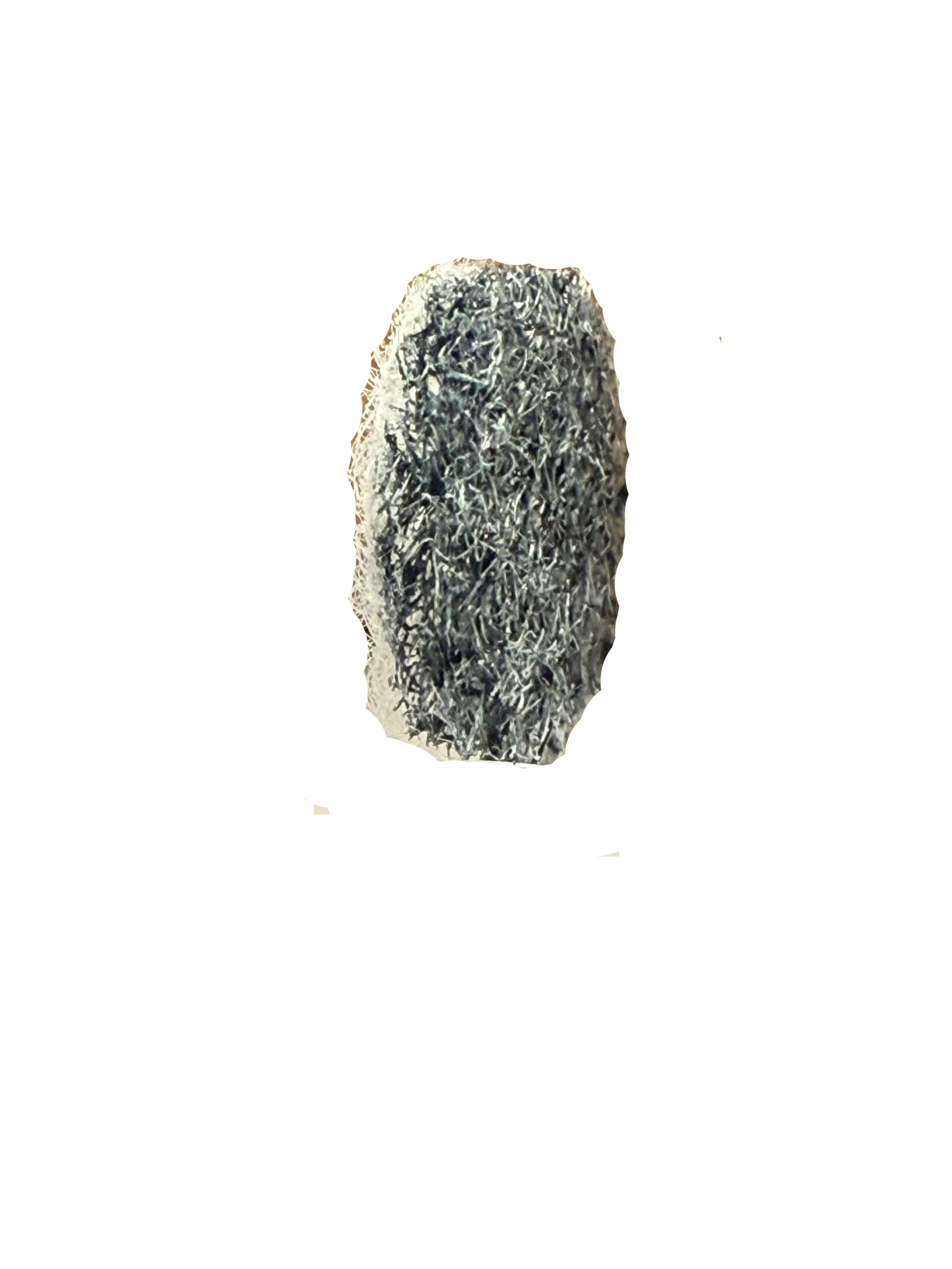 IMG_5609vg.png