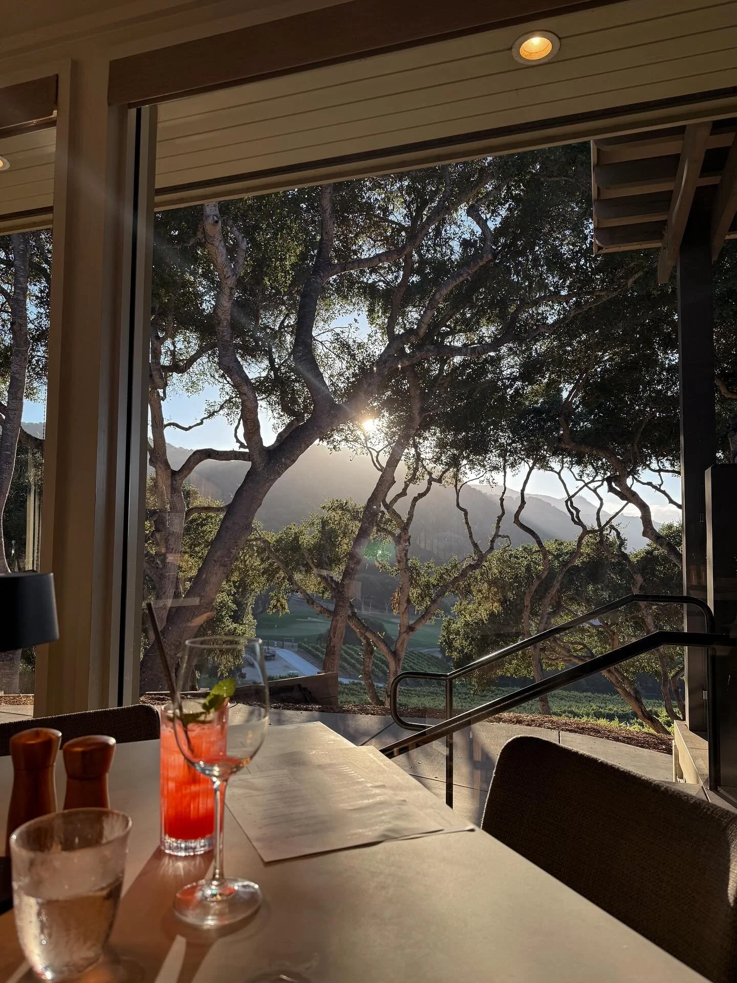 Lil trip this fall to Carmel by the Sea 🌊🌞🦋💕🐝