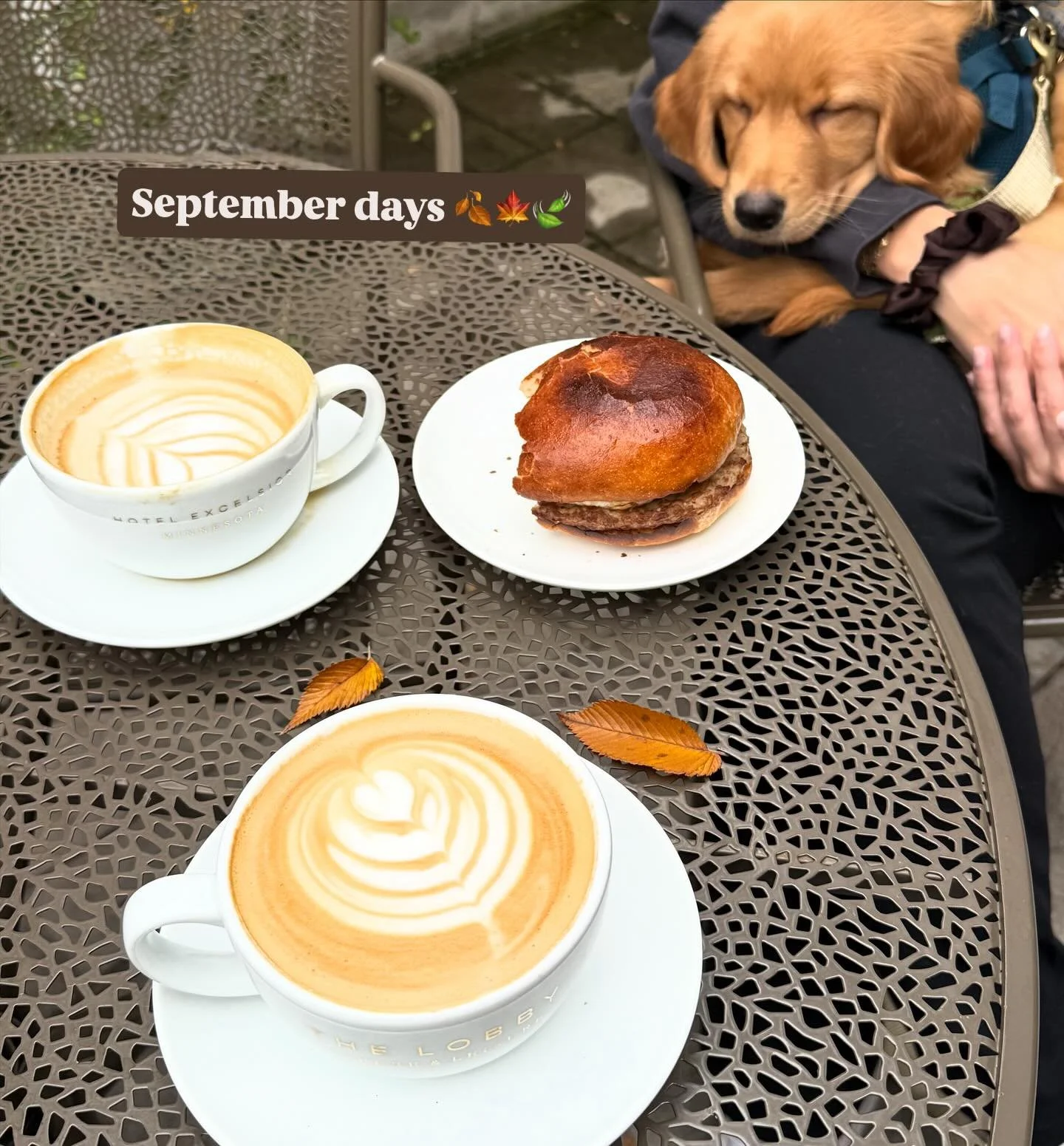 Vibes were high this September 🍁