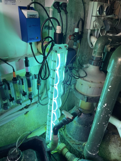 Water for Play – Engineering Safety Behind the Fun