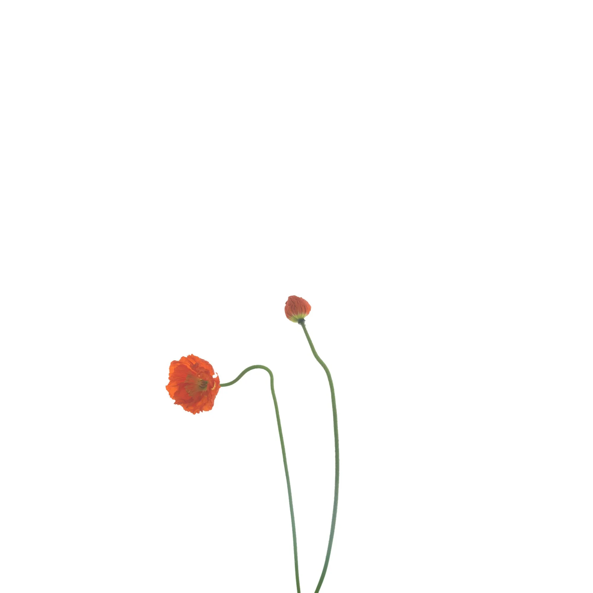 untitled-3.jpg