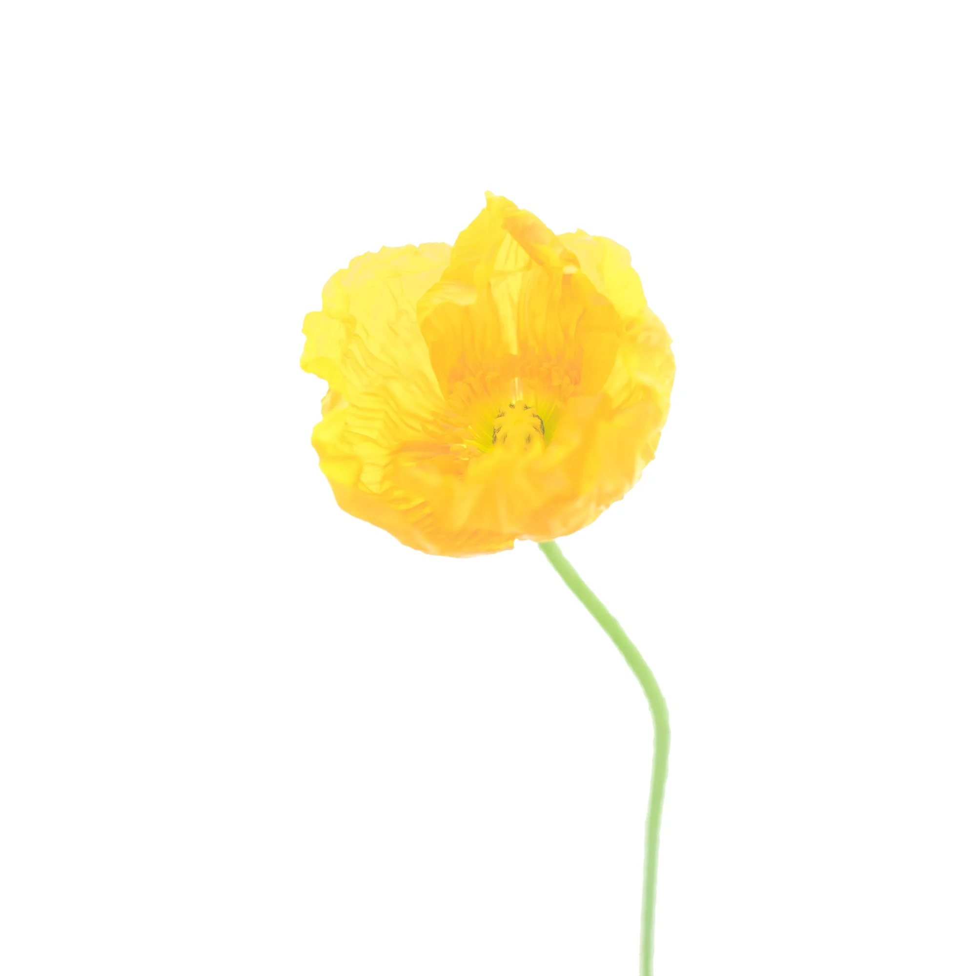 untitled-4.jpg